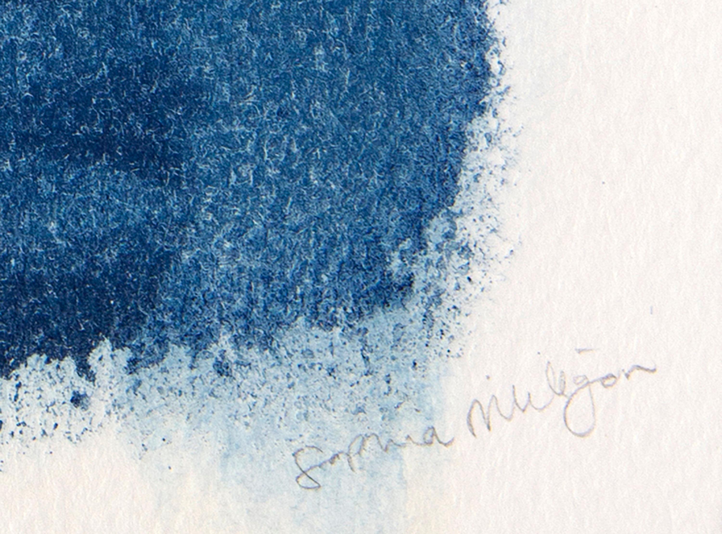 « Pies Fros, Corazn Clido, Nochebuena ». cyanotype botanique de l'environnement - Painting de Sophia Milligan