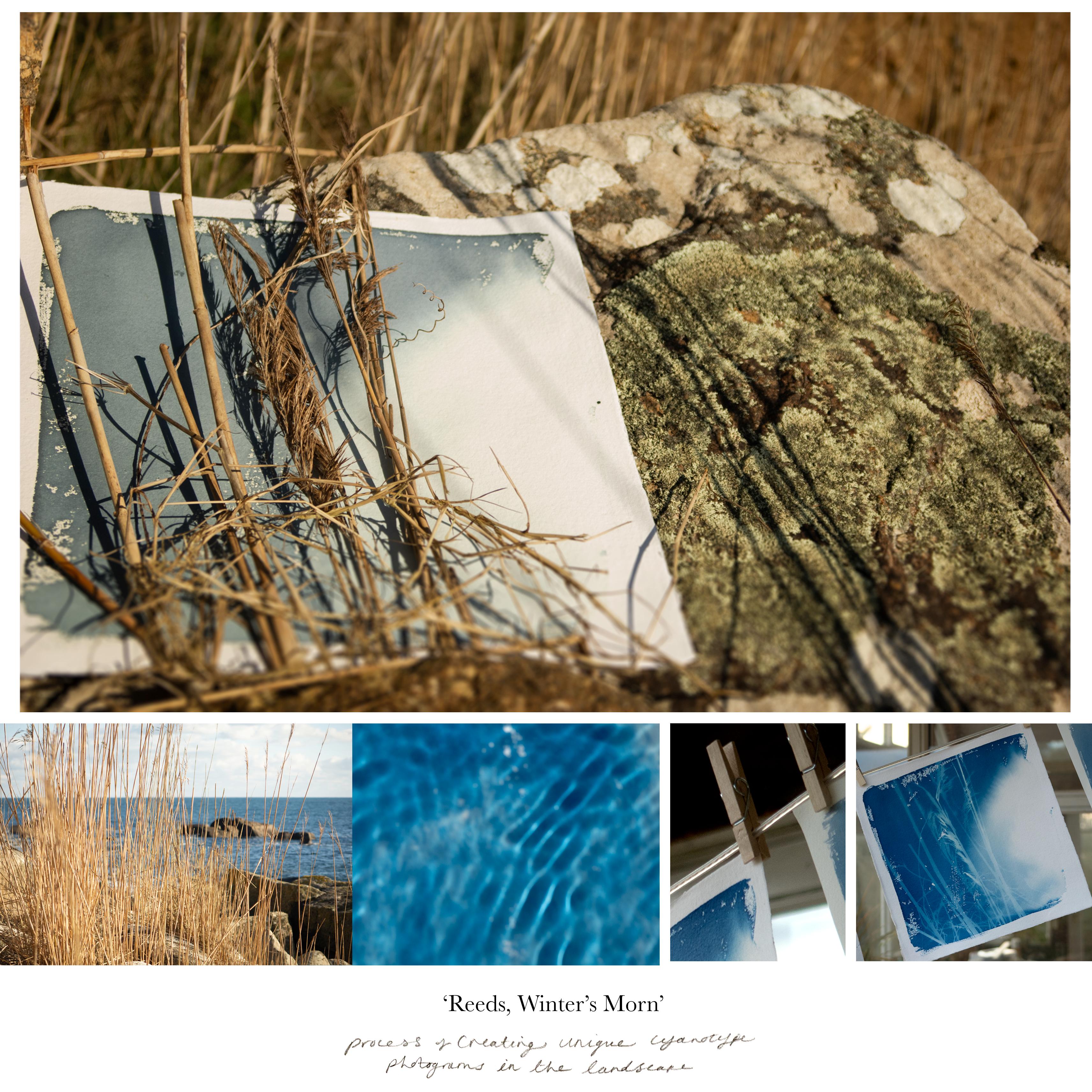 Cañas Azul blanco orilla océano playa cabaña minimalista naturaleza dibujo en venta 2