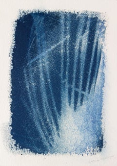 Sal y Cicatrices'. Disegno botanico ambientale della natura