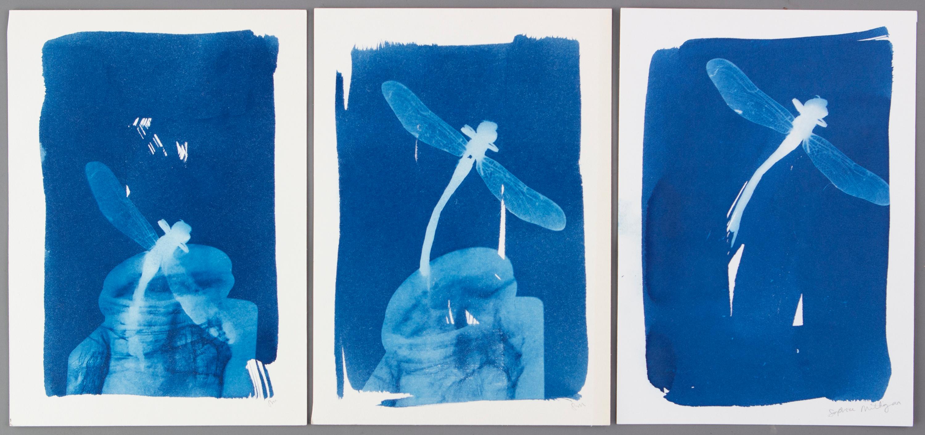 'Hope, Change, and Love'. Dragonfly triptych conceptual artwork - Painting by Sophia Milligan