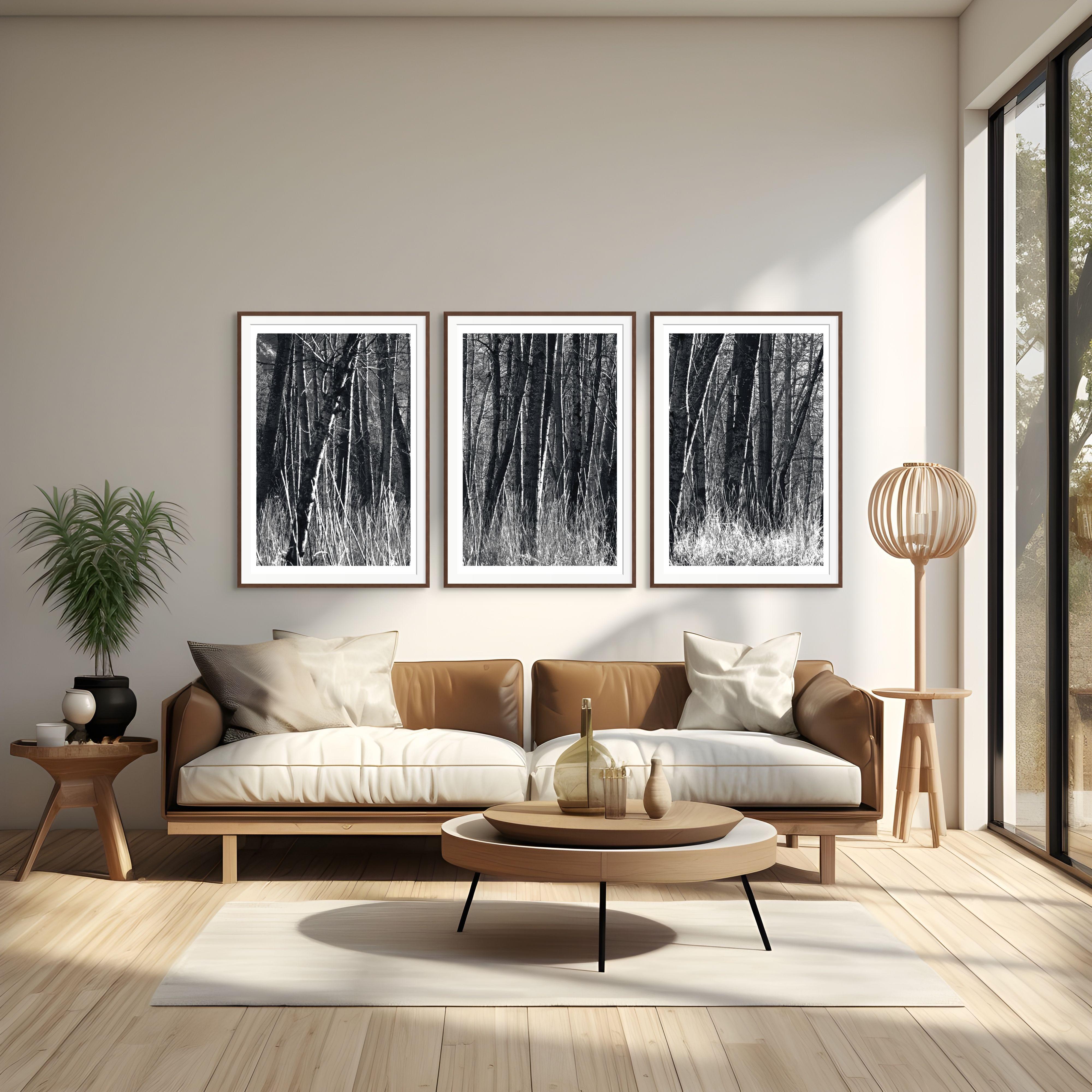 „Aspens, Kalifornien“ Einzigartiges Triptychon. Schwarz und Weiß Bäume Natur Wilder Wald – Photograph von Sophia Milligan