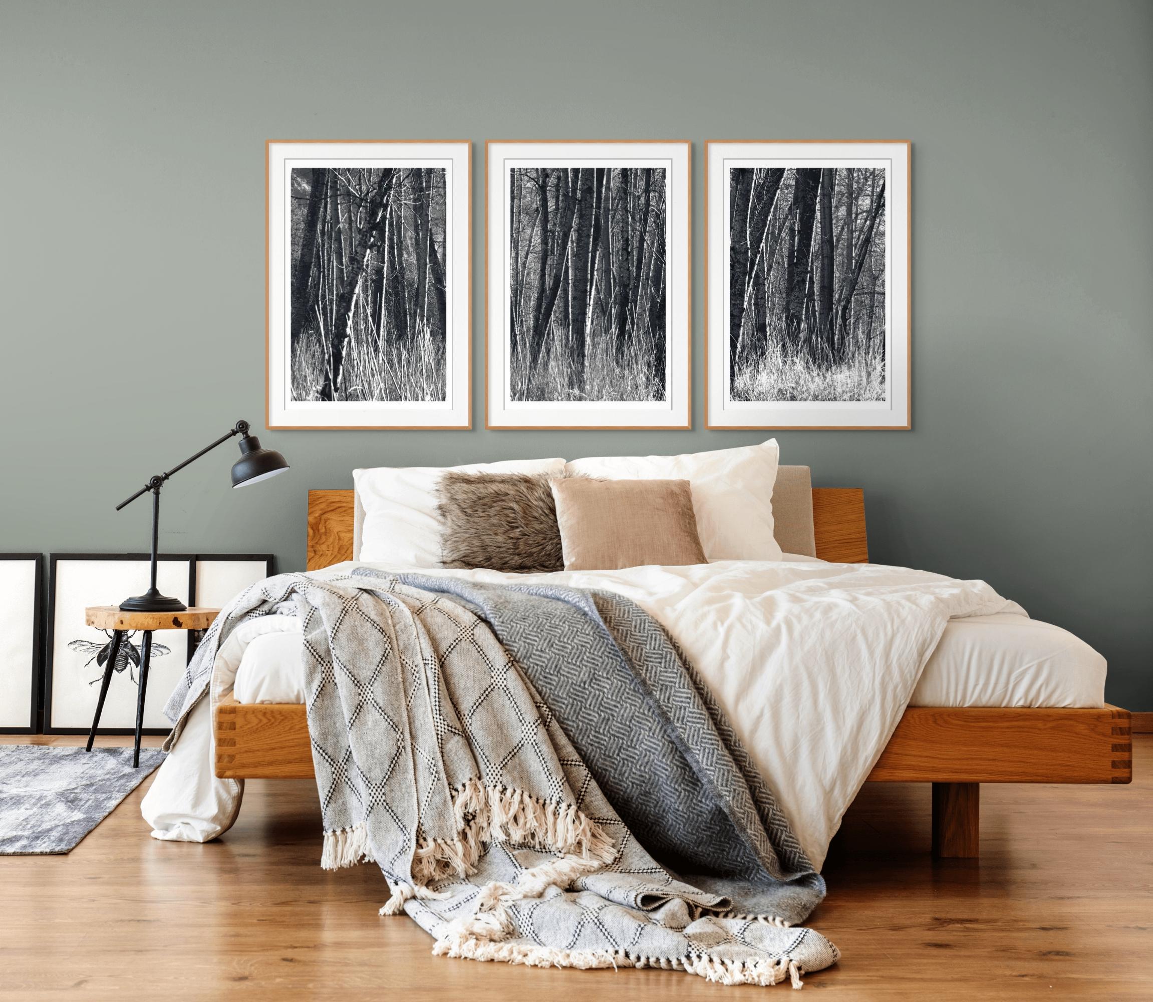 „Aspens, Kalifornien“ Einzigartiges Triptychon. Schwarz und Weiß Bäume Natur Wilder Wald im Angebot 2