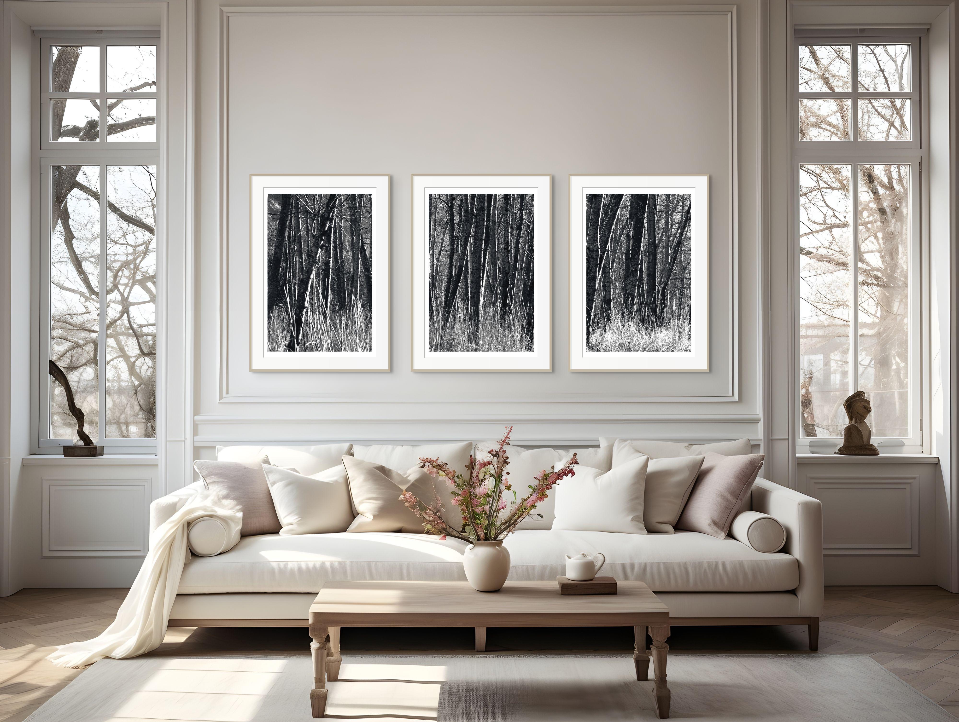 „Aspens, Kalifornien“ Einzigartiges Triptychon. Schwarz und Weiß Bäume Natur Wilder Wald im Angebot 5