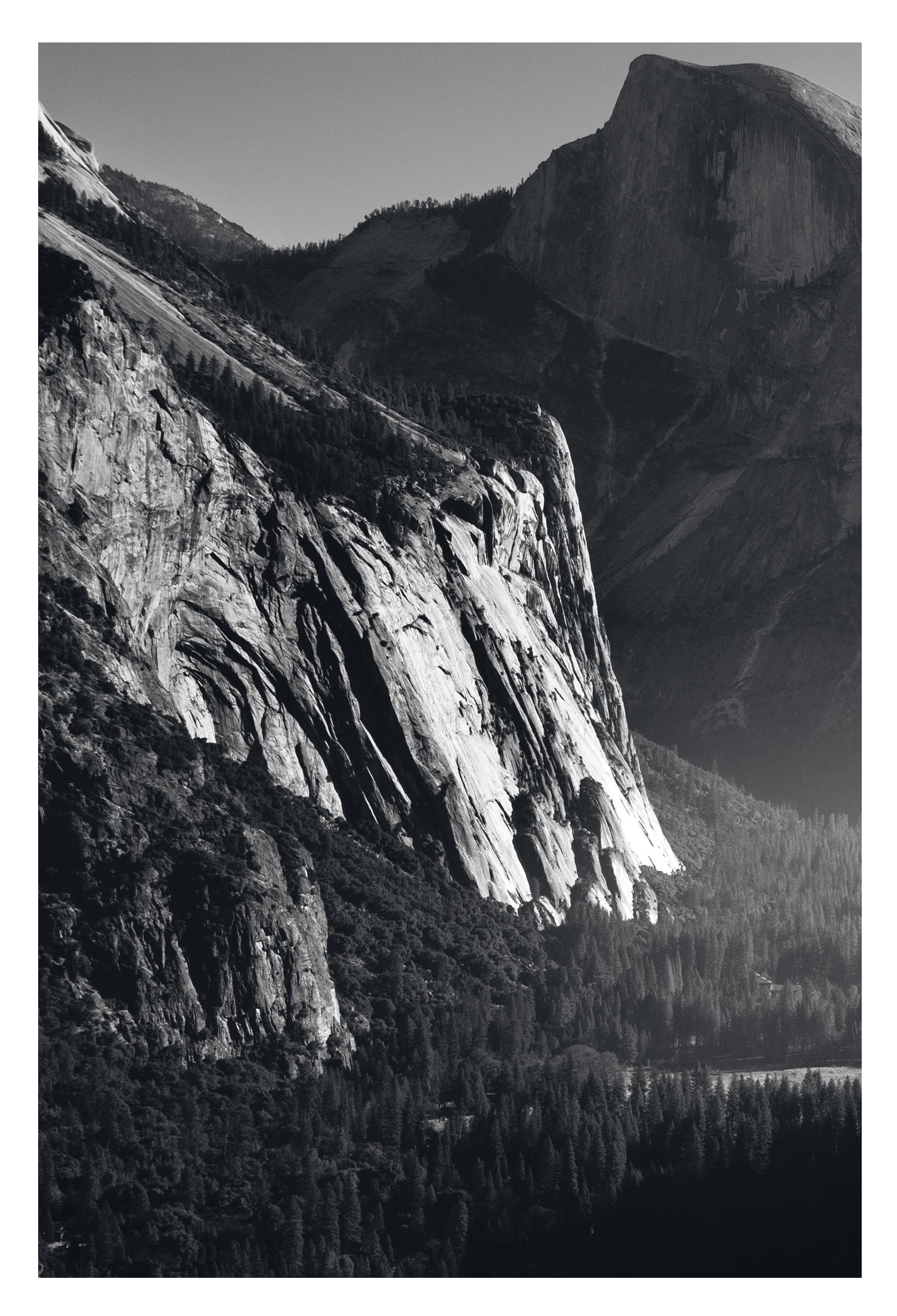 Triptyque en édition limitée « Awakening ». Légère texture arbres de Yosemite Mountains - Contemporain Photograph par Sophia Milligan