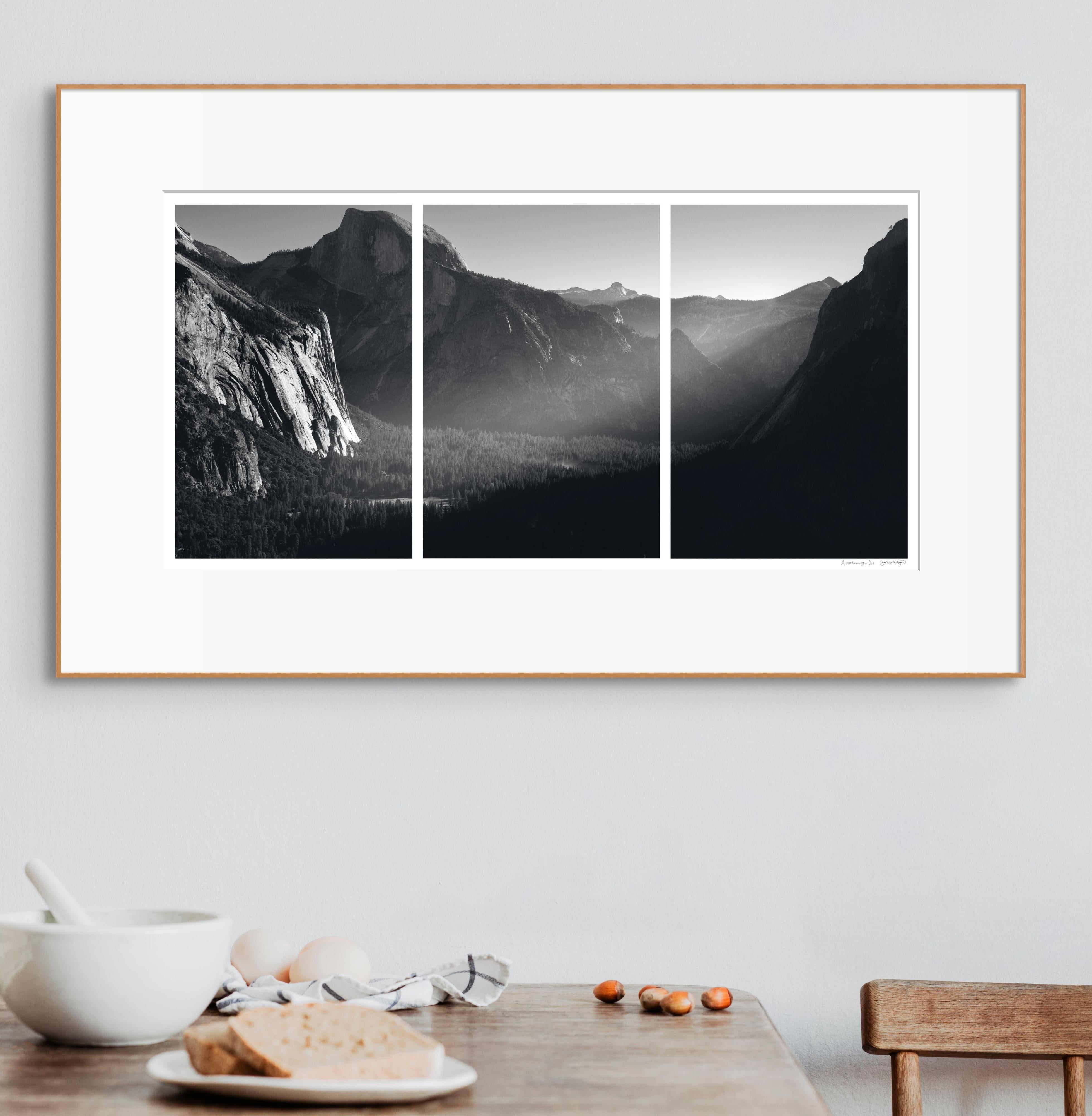 „Awakening“ Limitierte Auflage des Triptychons. Yosemite-Gebirge Bäume mit leichter Textur – Photograph von Sophia Milligan