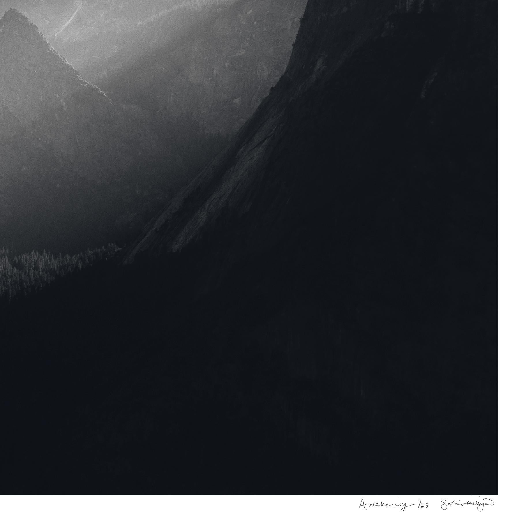 „Awakening“ Limitierte Auflage des Triptychons. Yosemite-Gebirge Bäume mit leichter Textur im Angebot 3