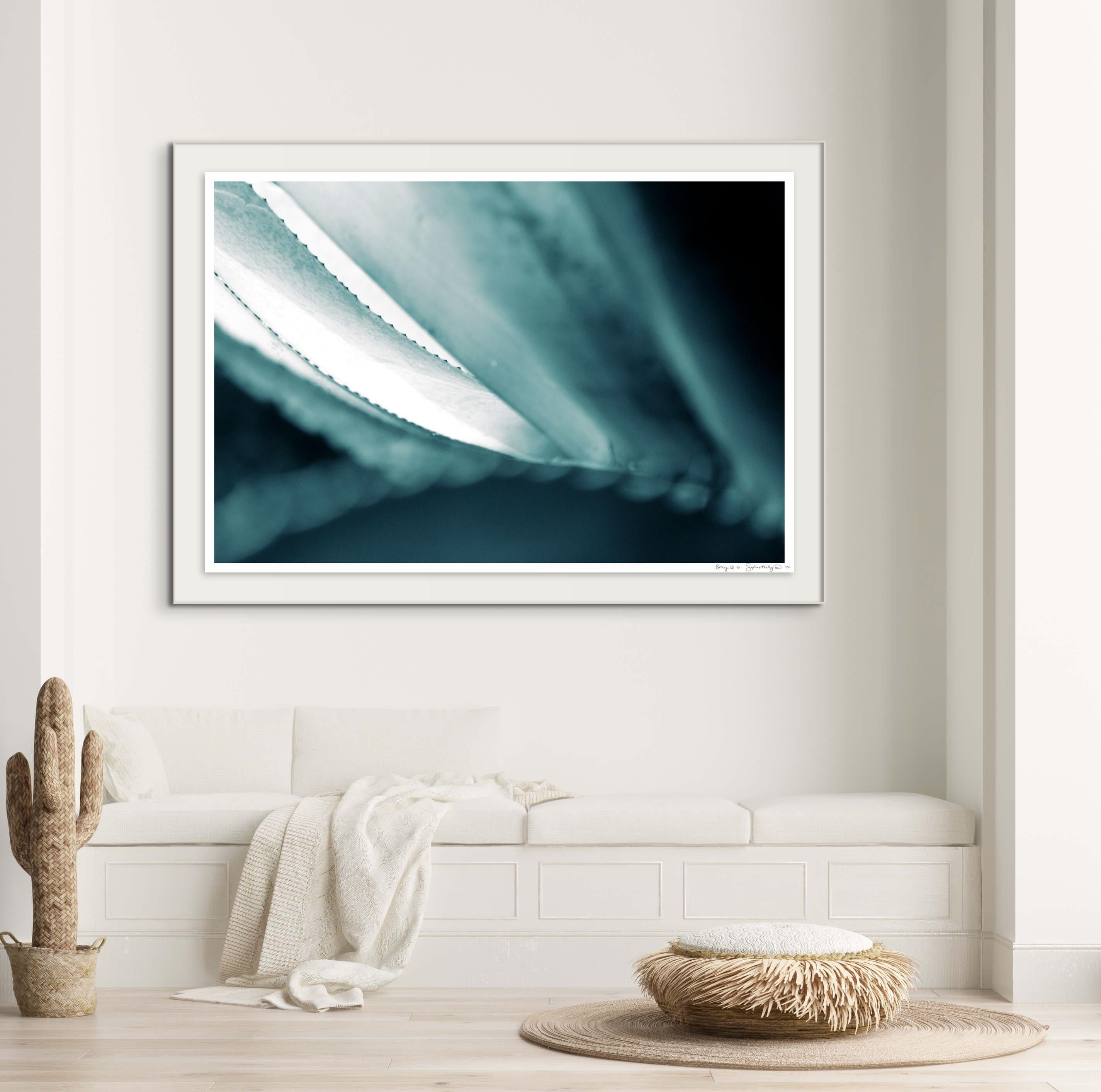'Cicatrices 2' Large scale photo. Agave leaf, desert, tropical blue teal green  - Photograph by Sophia Milligan