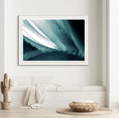 'Cicatrices 2' Large scale photo. Agave leaf, desert, tropical blue teal green