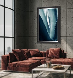 'Cicatrices 3' Foto in grande scala. Foglia di agave, femmina blu tropicale verde acqua