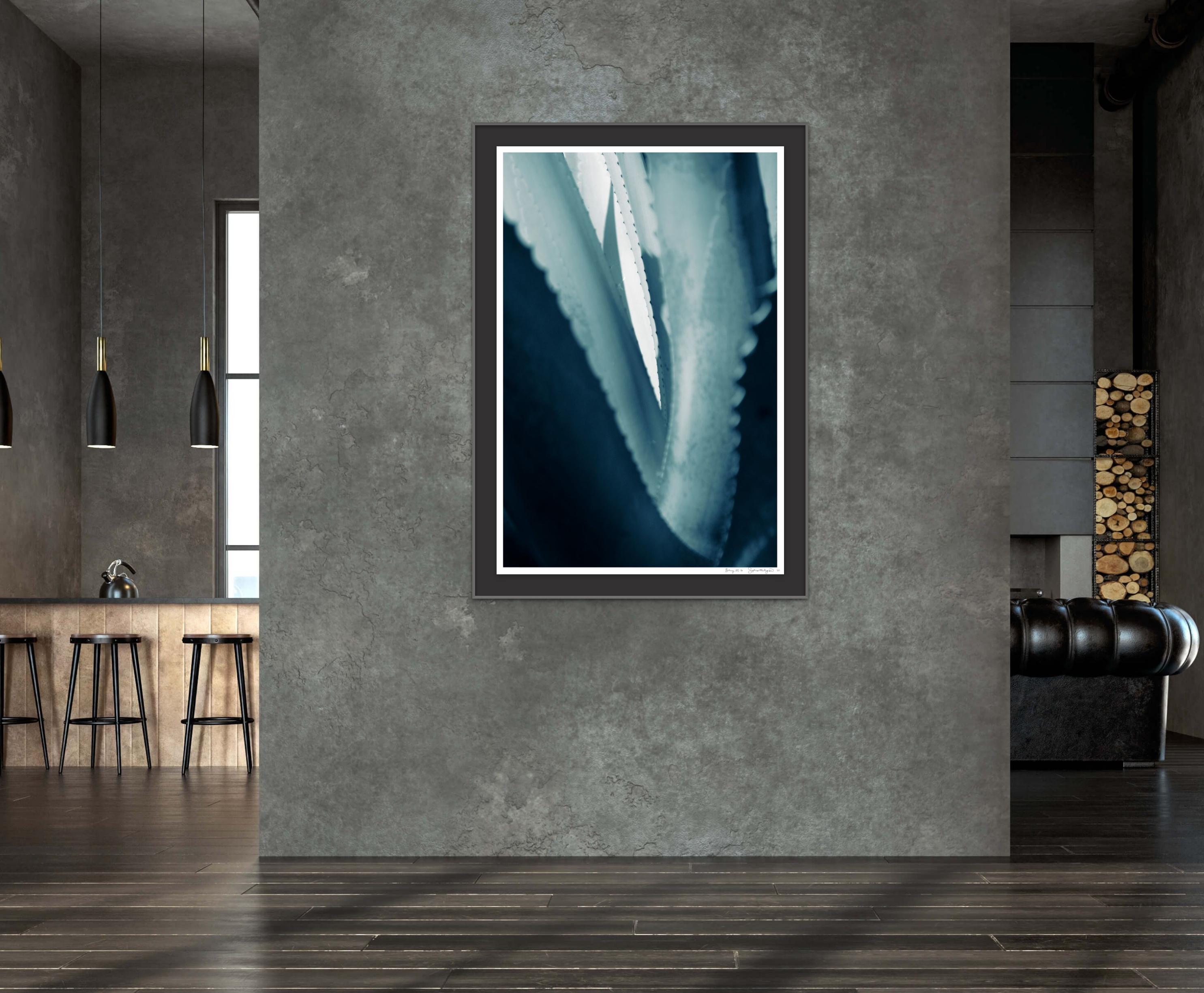 'Cicatrices 3' Large scale photo. Agave leaf, female tropical blue teal green  - Blue Color Photograph by Sophia Milligan