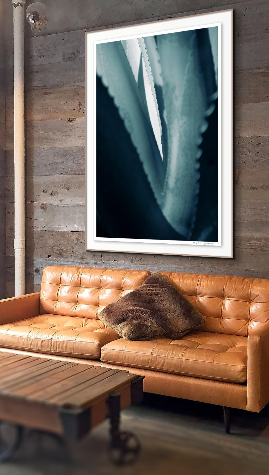 'Cicatrices 3' Large scale photo. Agave leaf, female tropical blue teal green  For Sale 1