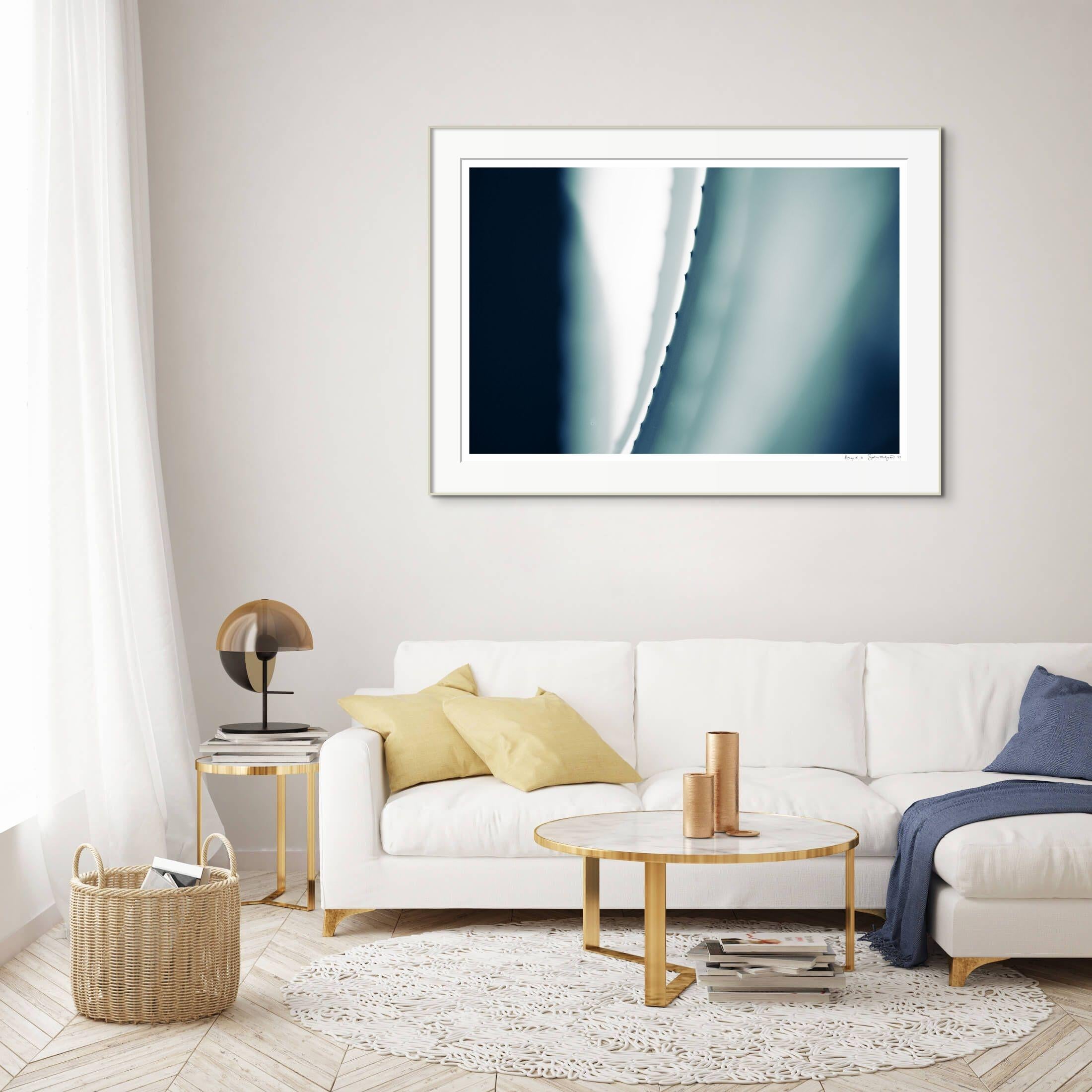 'Cicatrices 5' Large scale photo. Agave leaf, desert cactus blue teal green  - Contemporary Photograph by Sophia Milligan