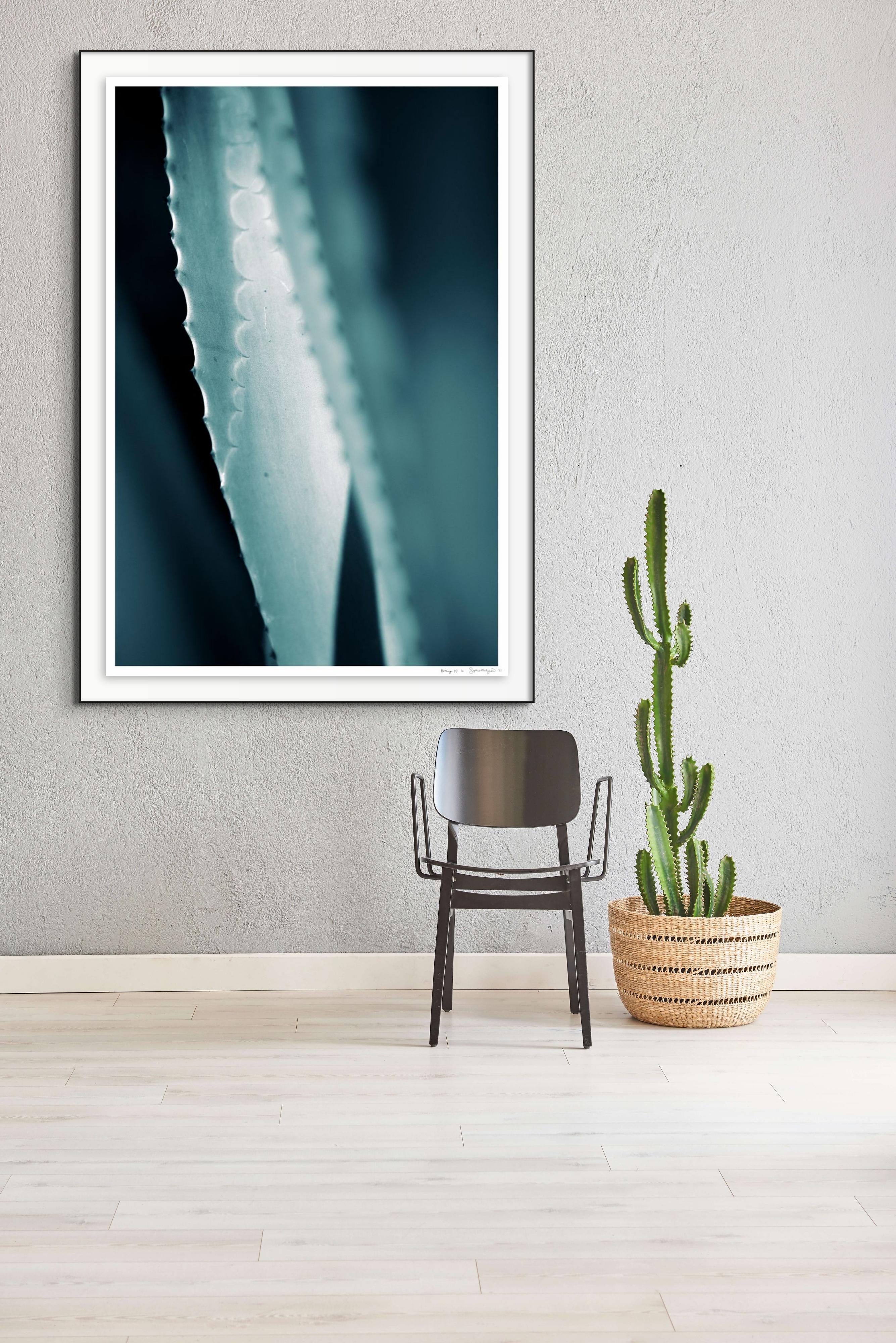 Großformatiges Foto „Cicatrices 1“. Blatt Agave-Blatt, Wüste, tropisches Blau, Tealgrün  – Photograph von Sophia Milligan