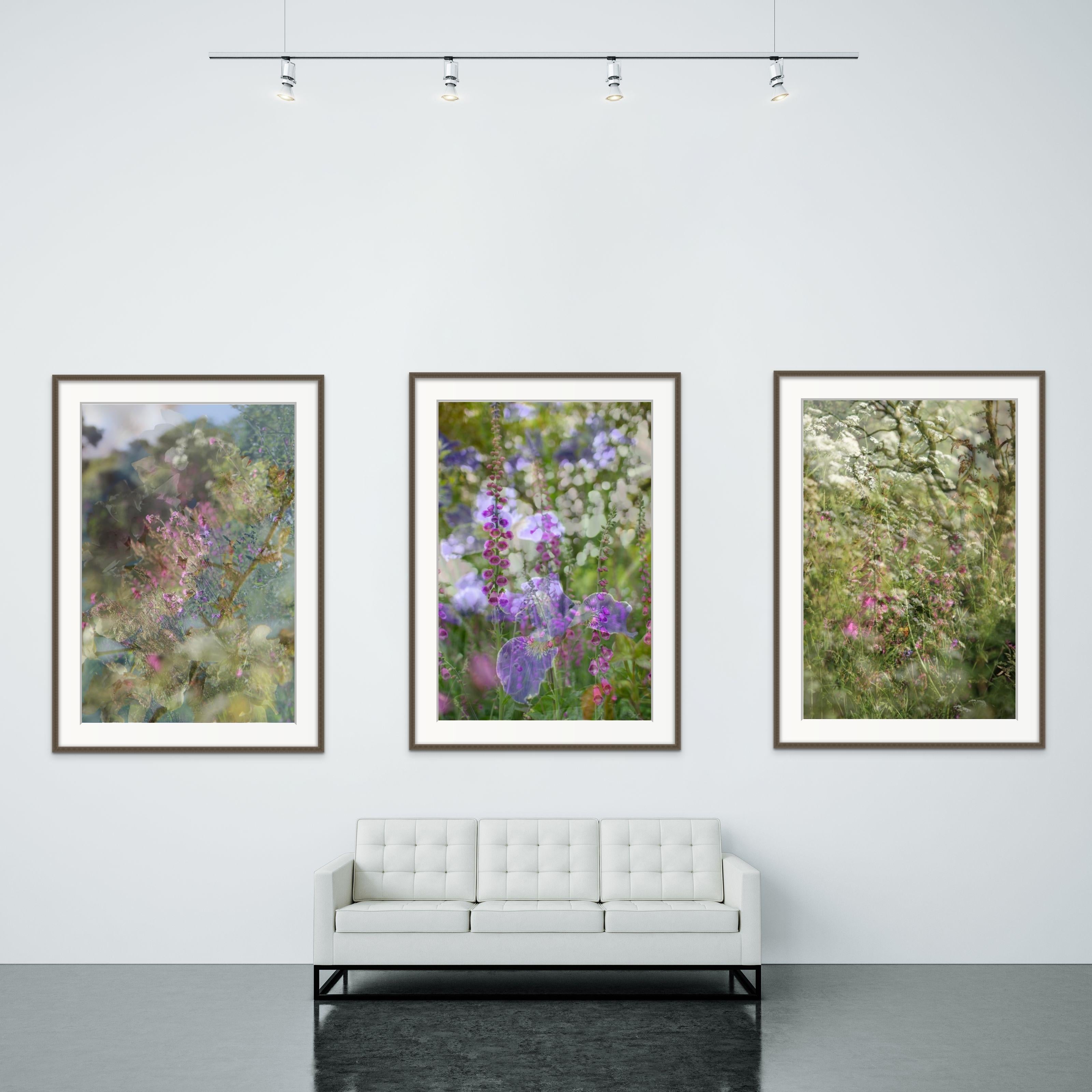 'Cherry Lane' Large scale floral photograph. Spring, blue pink green sakura For Sale 2