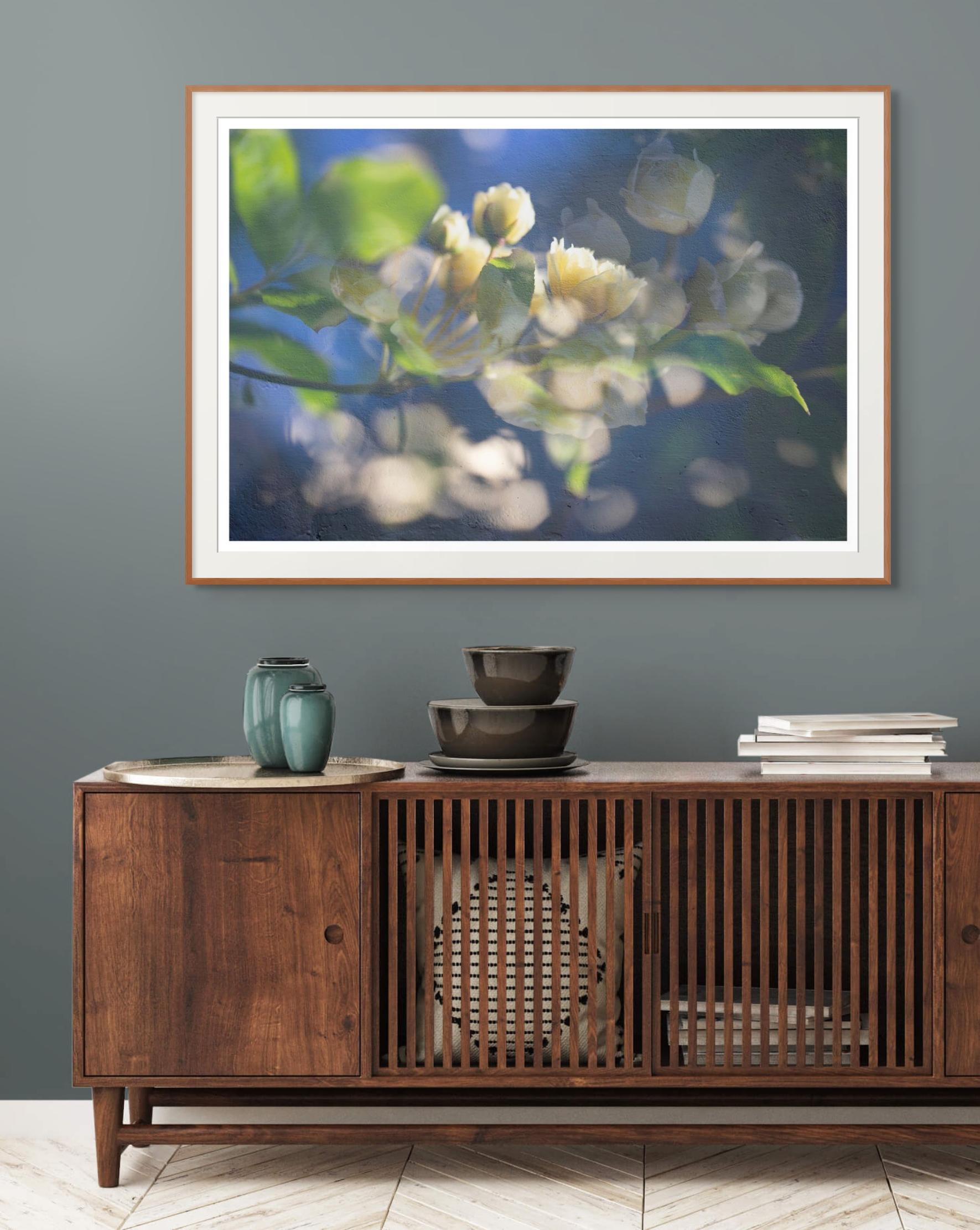 'Compliments of the May Morning' Large Scale Photograph Yellow Roses flowers - Gray Color Photograph by Sophia Milligan