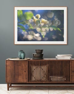 Großformatige Fotografie „Compliments of the May Morning“ Gelbe Rosenblüten Blumen