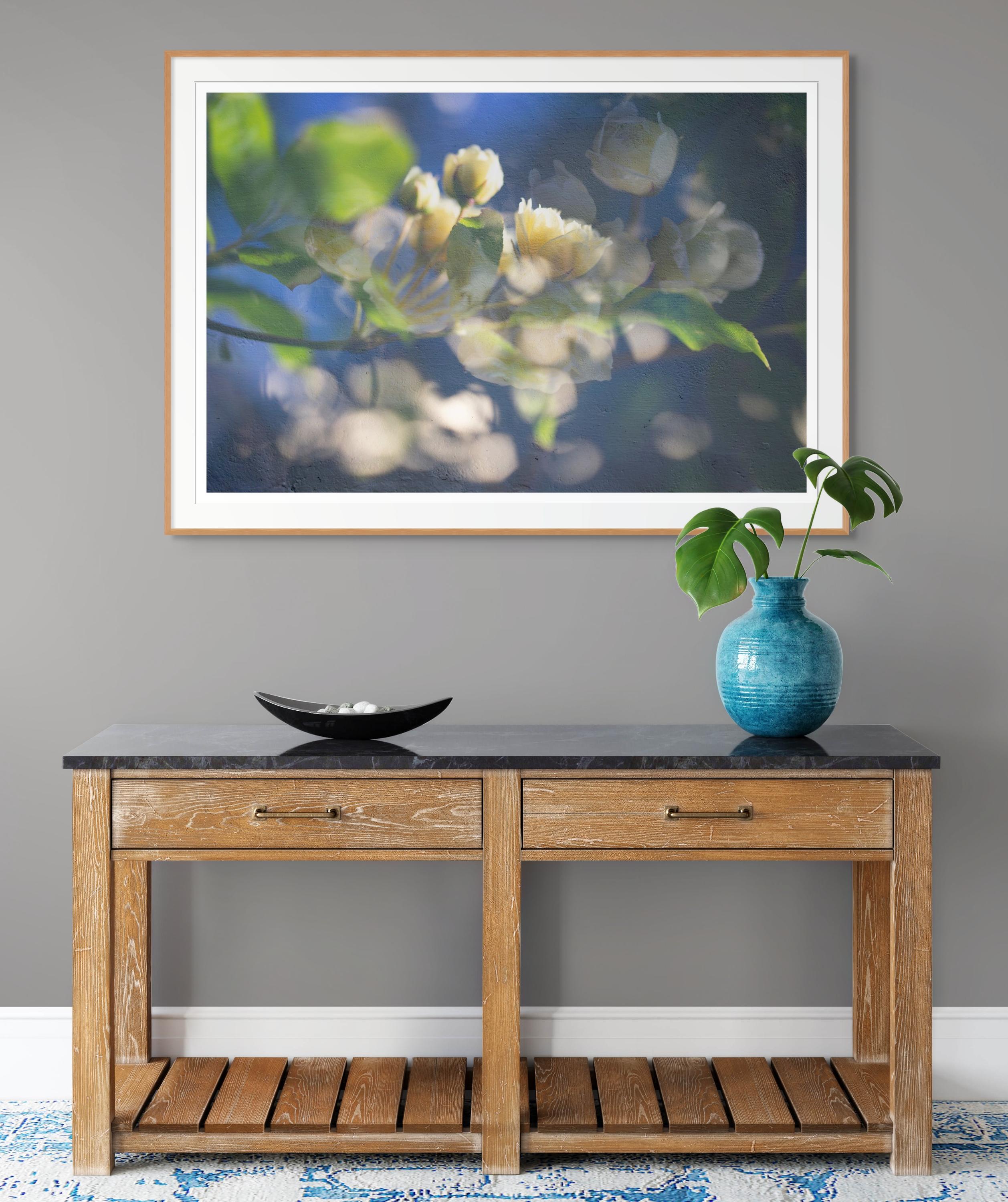 'Compliments of the May Morning' Large Scale Photograph Yellow Roses flowers For Sale 5