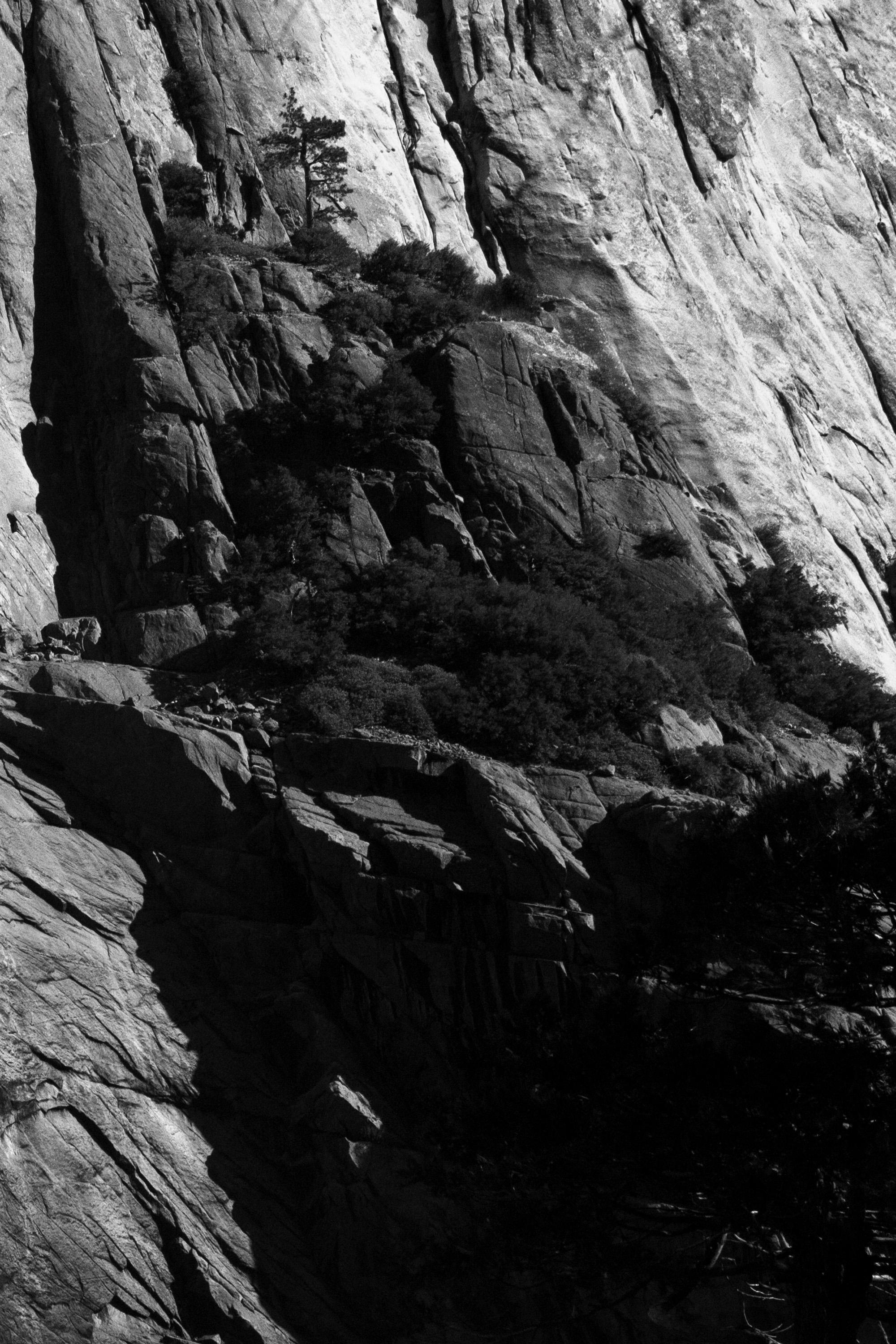 'Falls' Limited edition photograph triptych. Yosemite Stone Water Tree Texture - Contemporary Photograph by Sophia Milligan