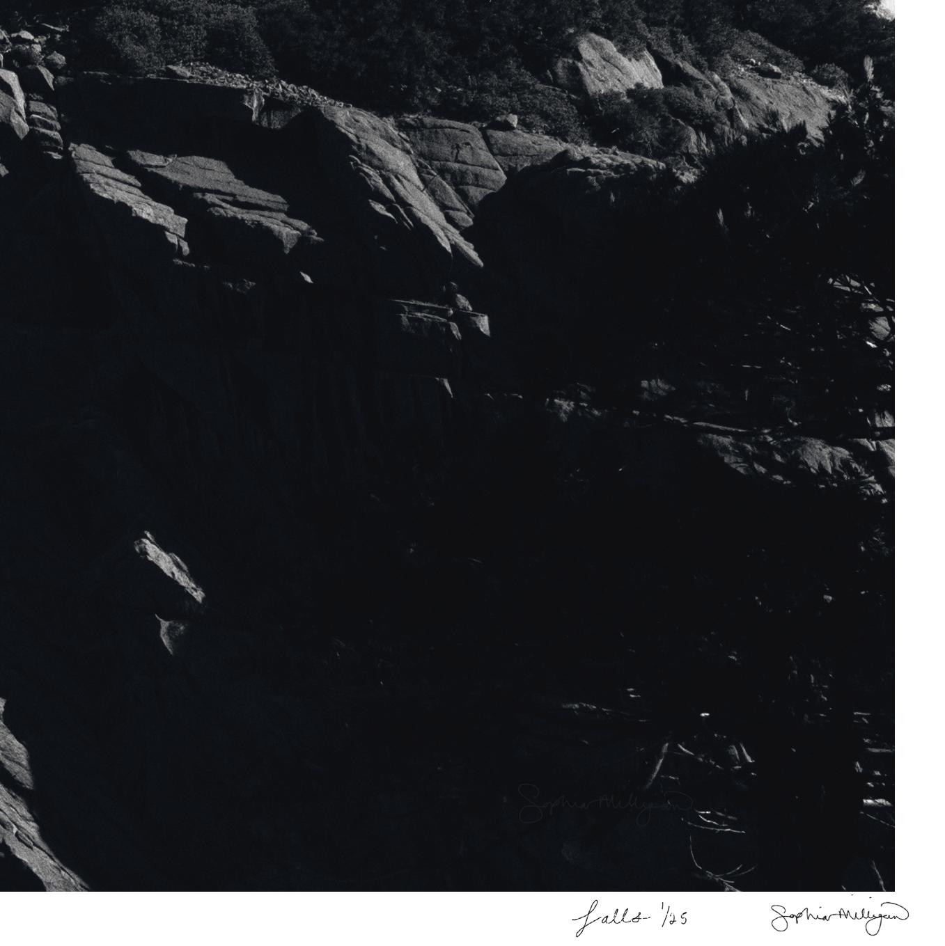 Limitierte Auflage des Foto triptychons „Falls“. Yosemite-Wasserbaum-Textur im Angebot 1