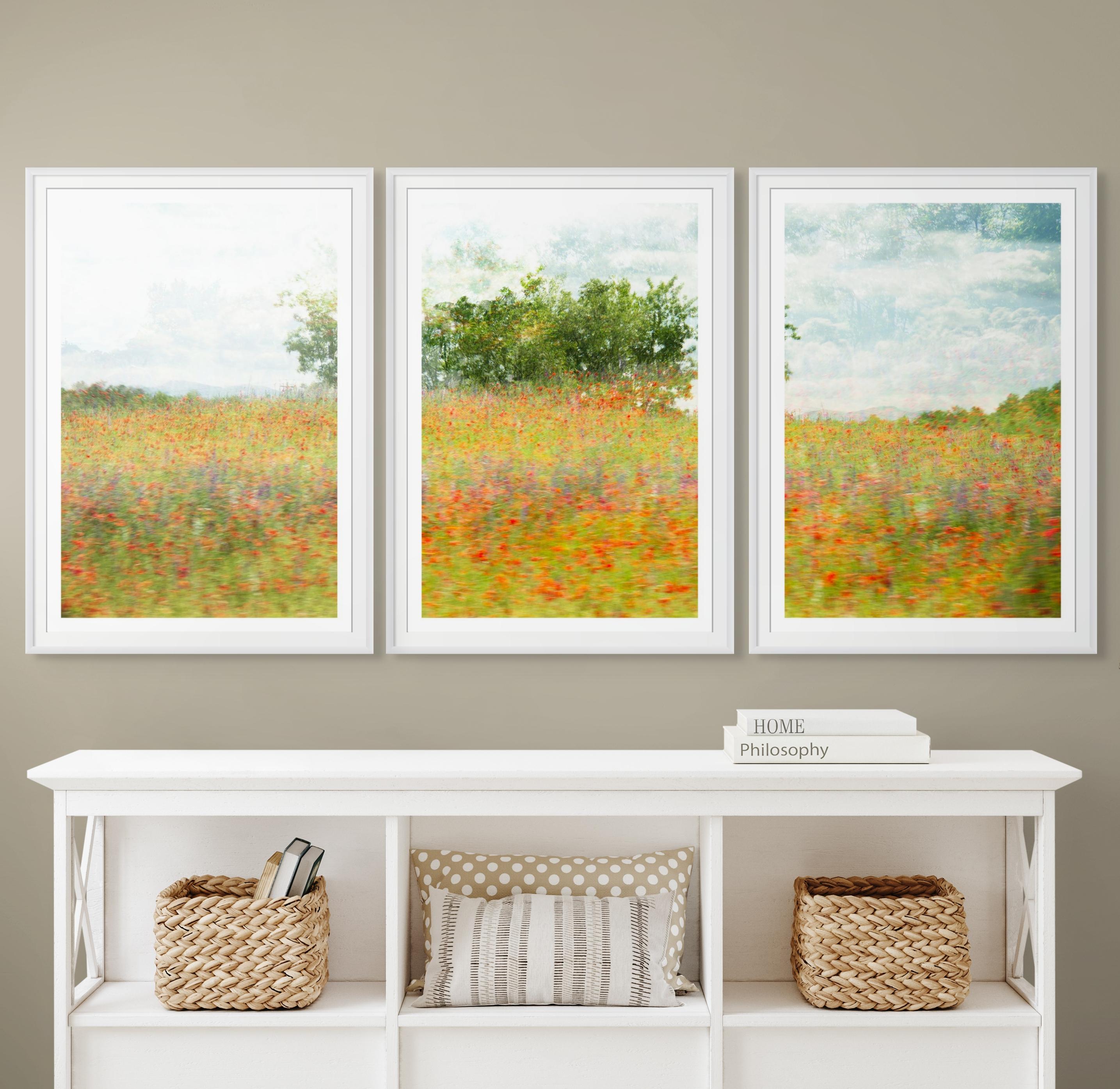 Trittico in edizione limitata 'For the Brave, Tennessee'. Paesaggio, Fiori, Nature. - Photograph di Sophia Milligan