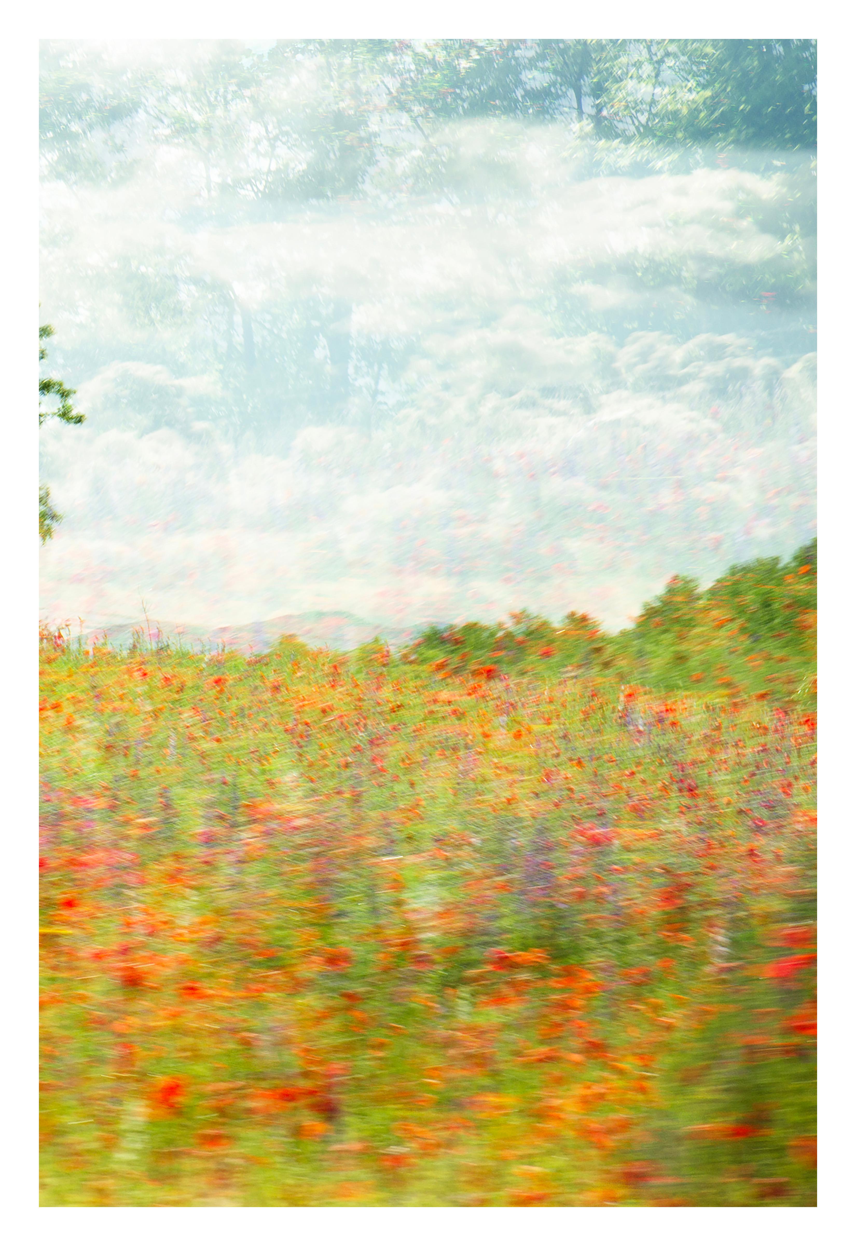 Trittico in edizione limitata 'For the Brave, Tennessee'. Paesaggio, Fiori, Nature. in vendita 1