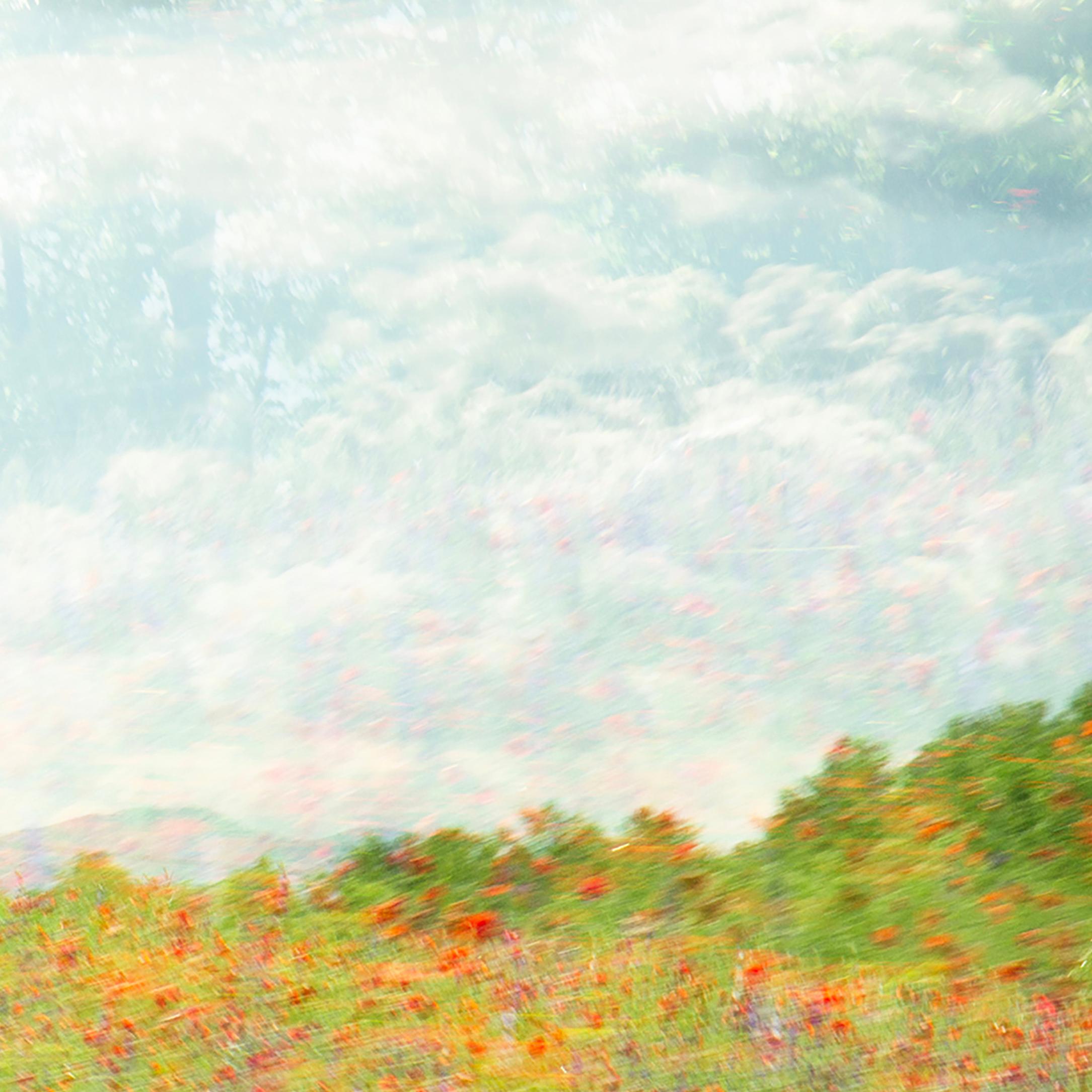 Trittico in edizione limitata 'For the Brave, Tennessee'. Paesaggio, Fiori, Nature. in vendita 4