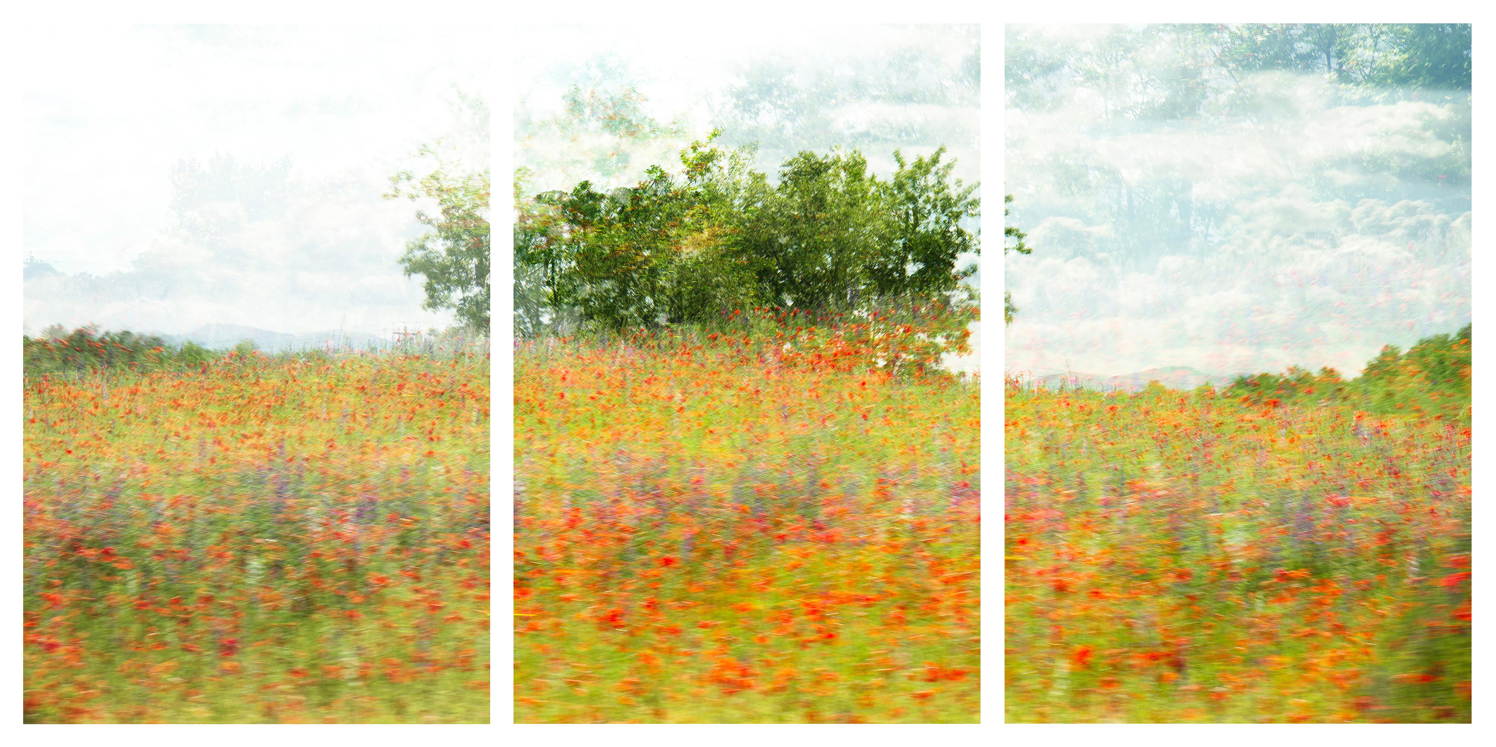 „For the Brave, Tennessee“, Triptychon in limitierter Auflage. Landschaft, Blumen, Natur.