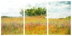 Triptyque à édition limitée 'For the Brave, Tennessee' (Pour les courageux, le Tennessee). Paysage, fleurs, nature