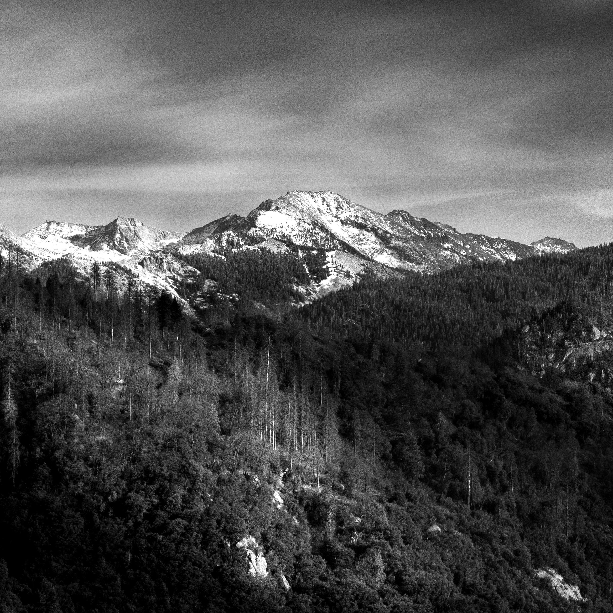 „Into The Beyond“. Wilde Natur Bergpanorama Himmel Schnee Wald Landschaft weiß (Zeitgenössisch), Photograph, von Sophia Milligan