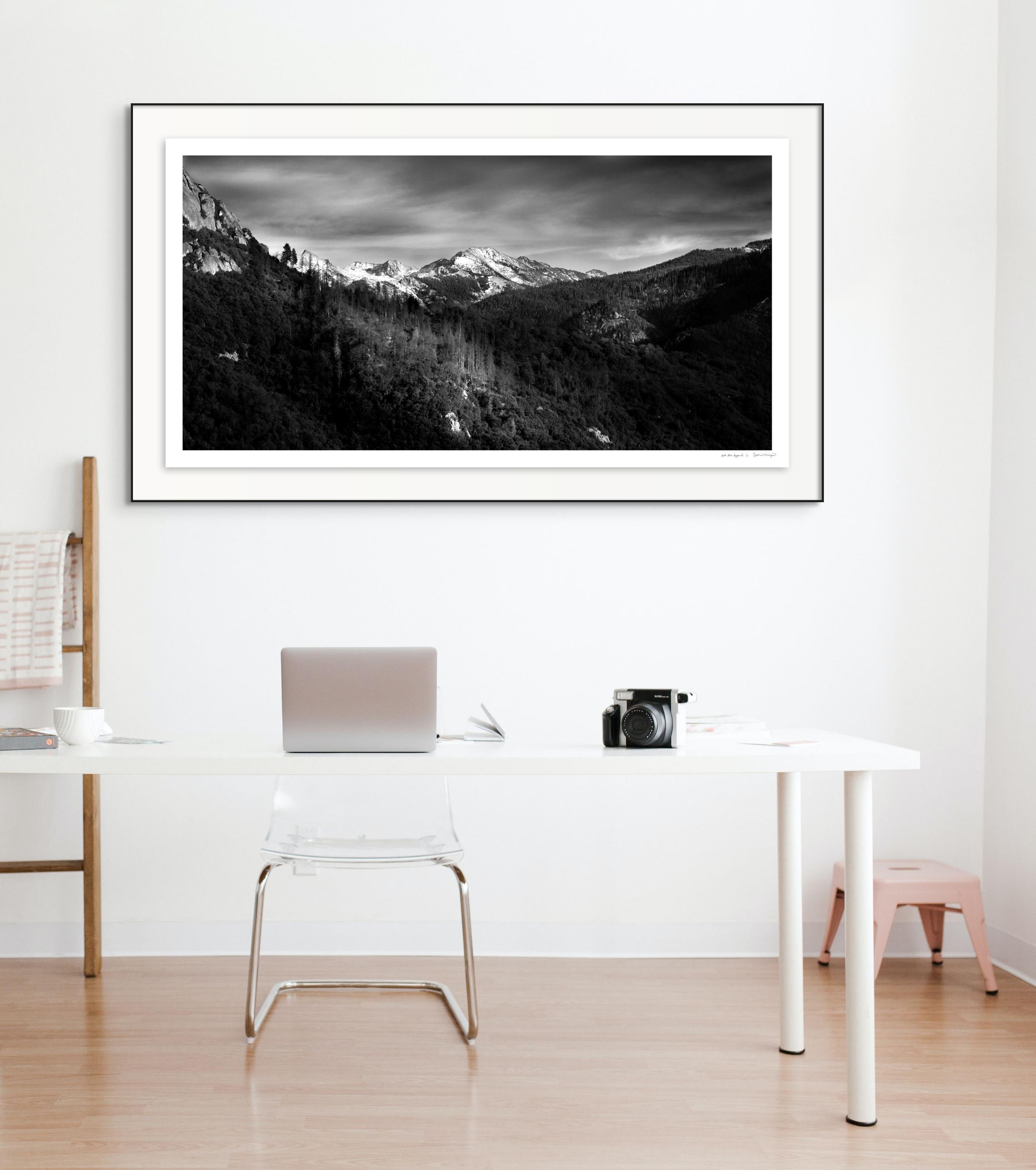 'Into The Beyond'. Wild nature mountain panorama sky snow forest landscape white For Sale 1