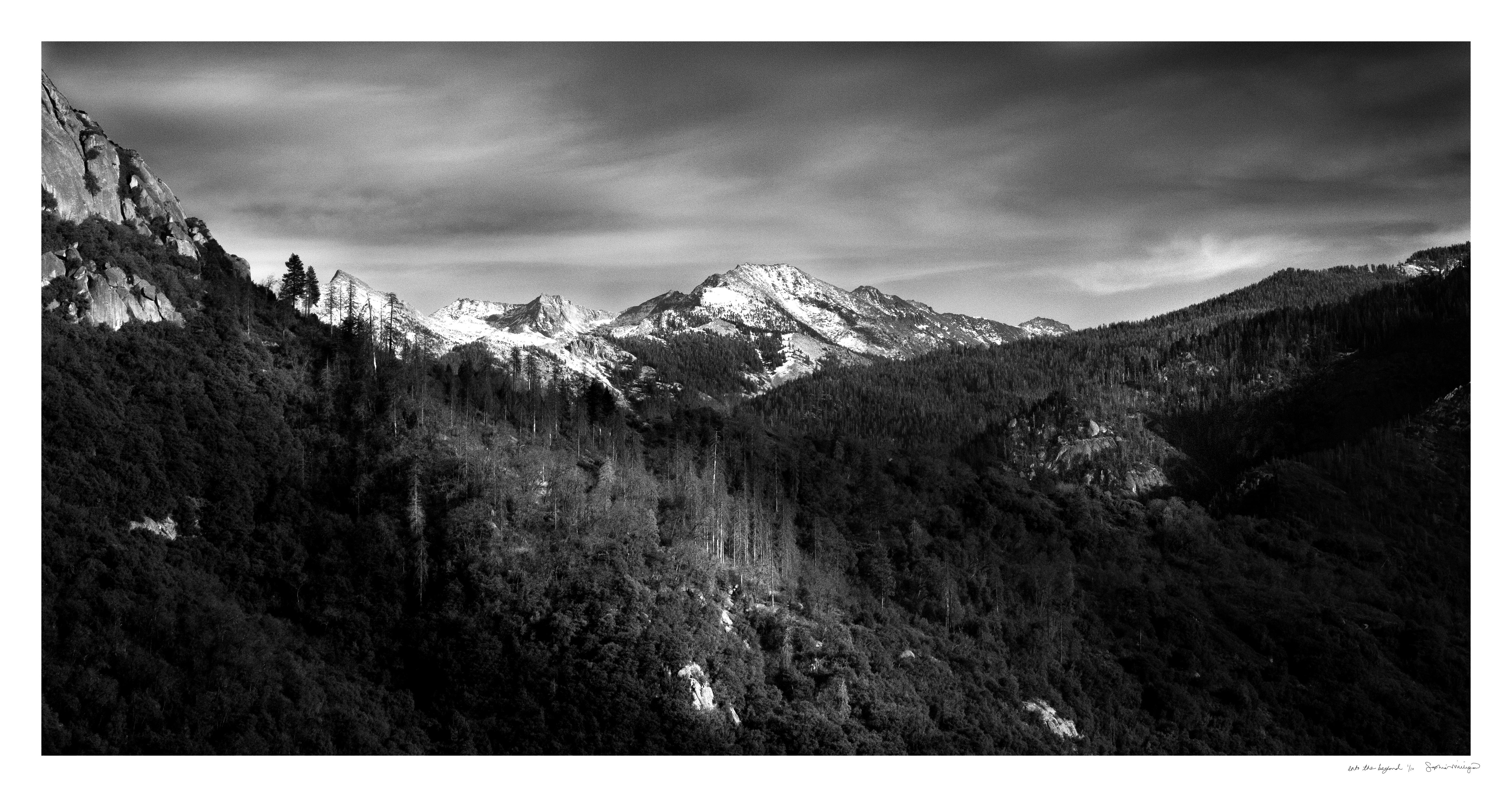 Sophia Milligan Black and White Photograph – „Into The Beyond“. Wilde Natur Bergpanorama Himmel Schnee Wald Landschaft weiß