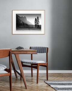 'Last Light' Limited edition photograph. Yosemite Mountains Trees Landscape
