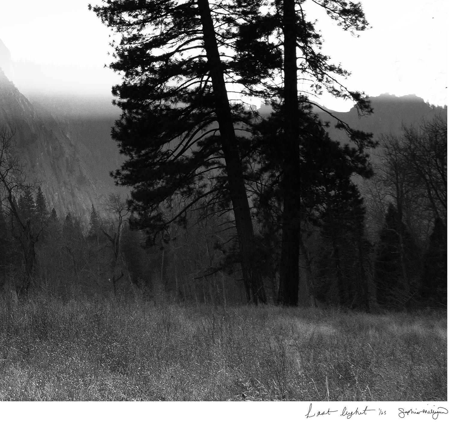 'Last Light' Limited edition photograph. Yosemite Mountains Trees Landscape - Contemporary Photograph by Sophia Milligan