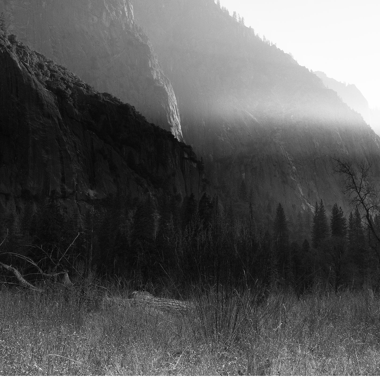 'Last Light' 
Limited Edition (1 of 25) Archival Photograph. Unframed.
_________________
Dusk throws on her spotlights, casting deep silhouettes and revealing rich layers in the vast beauty of Yosemite Valley. 
Sophia's poetic photographs are an