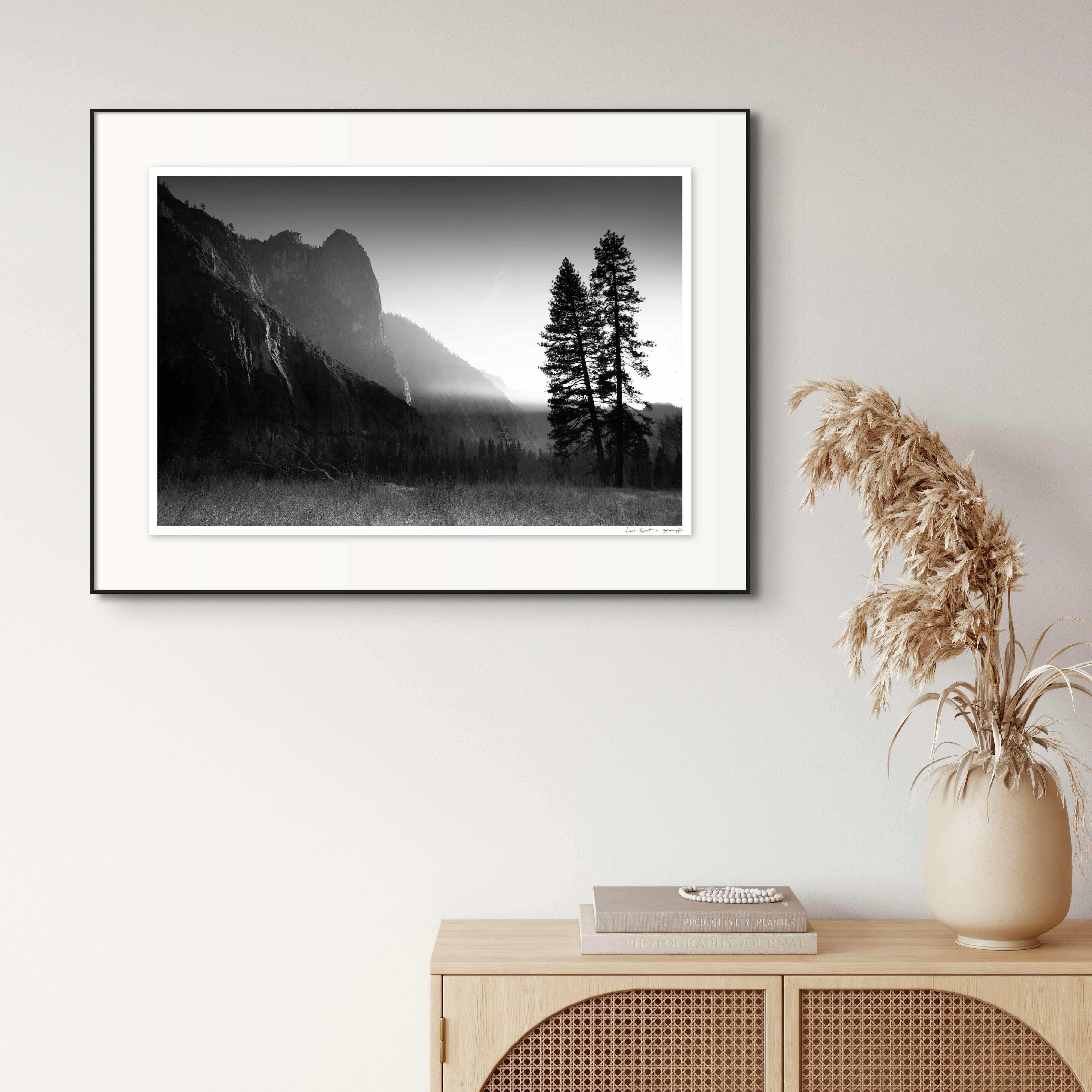 photographie en édition limitée « Last Light ». Paysage d'arbres de la Yosemite en vente 1