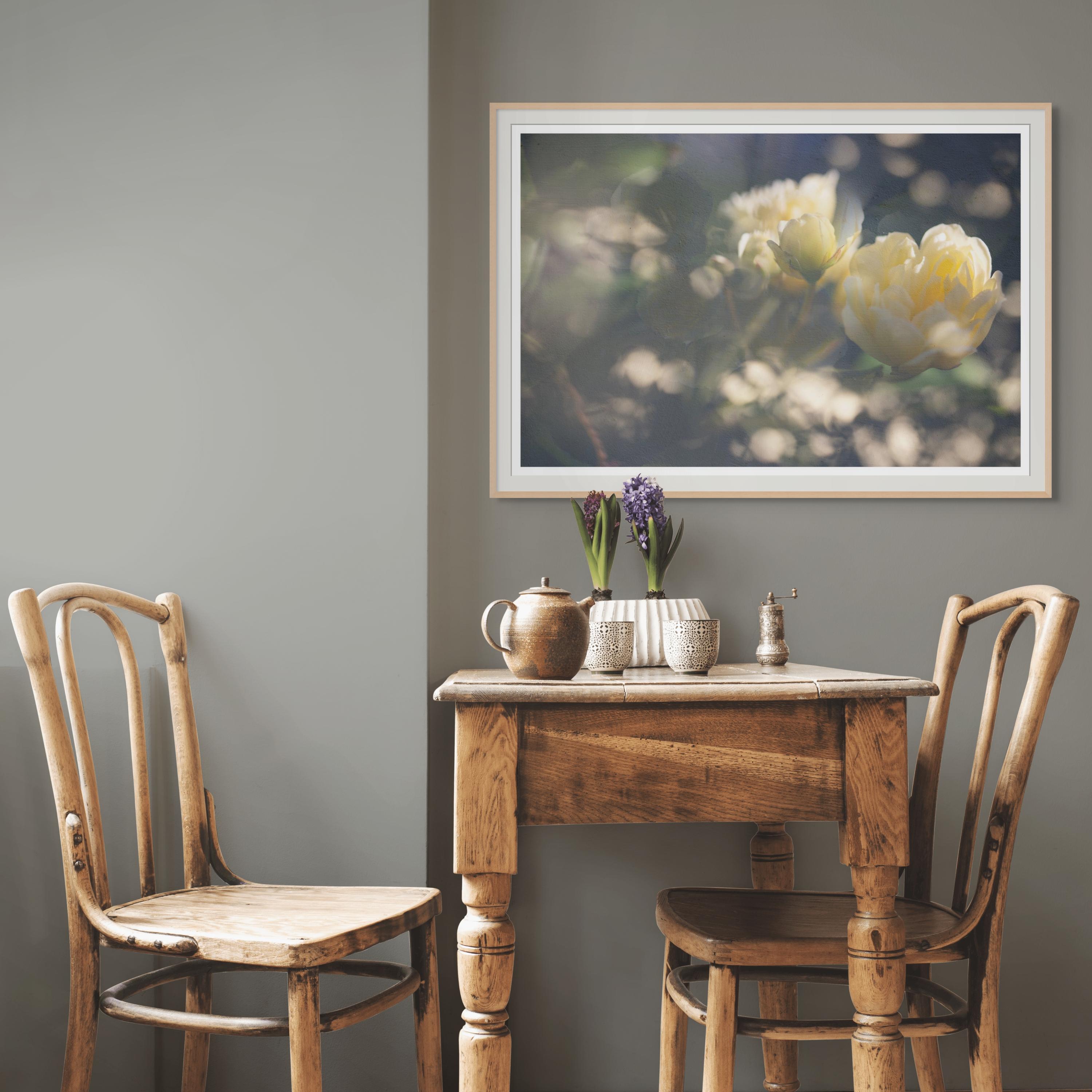 'May Morning in Yellow' Large scale photograph Roses Flowers Contemporary - Photograph by Sophia Milligan