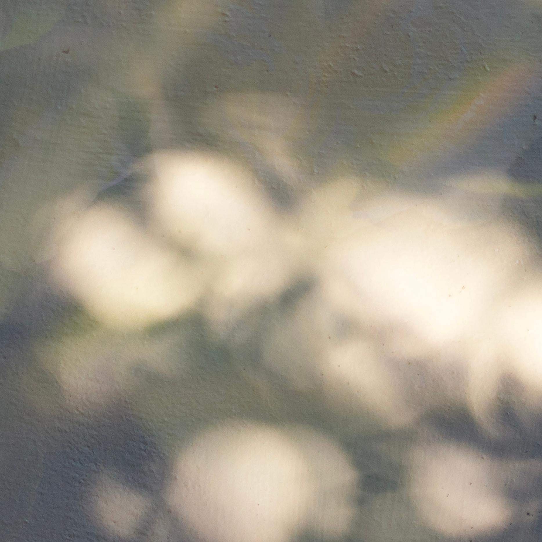 'May Morning in Yellow' Large scale photograph Roses Flowers Contemporary For Sale 1