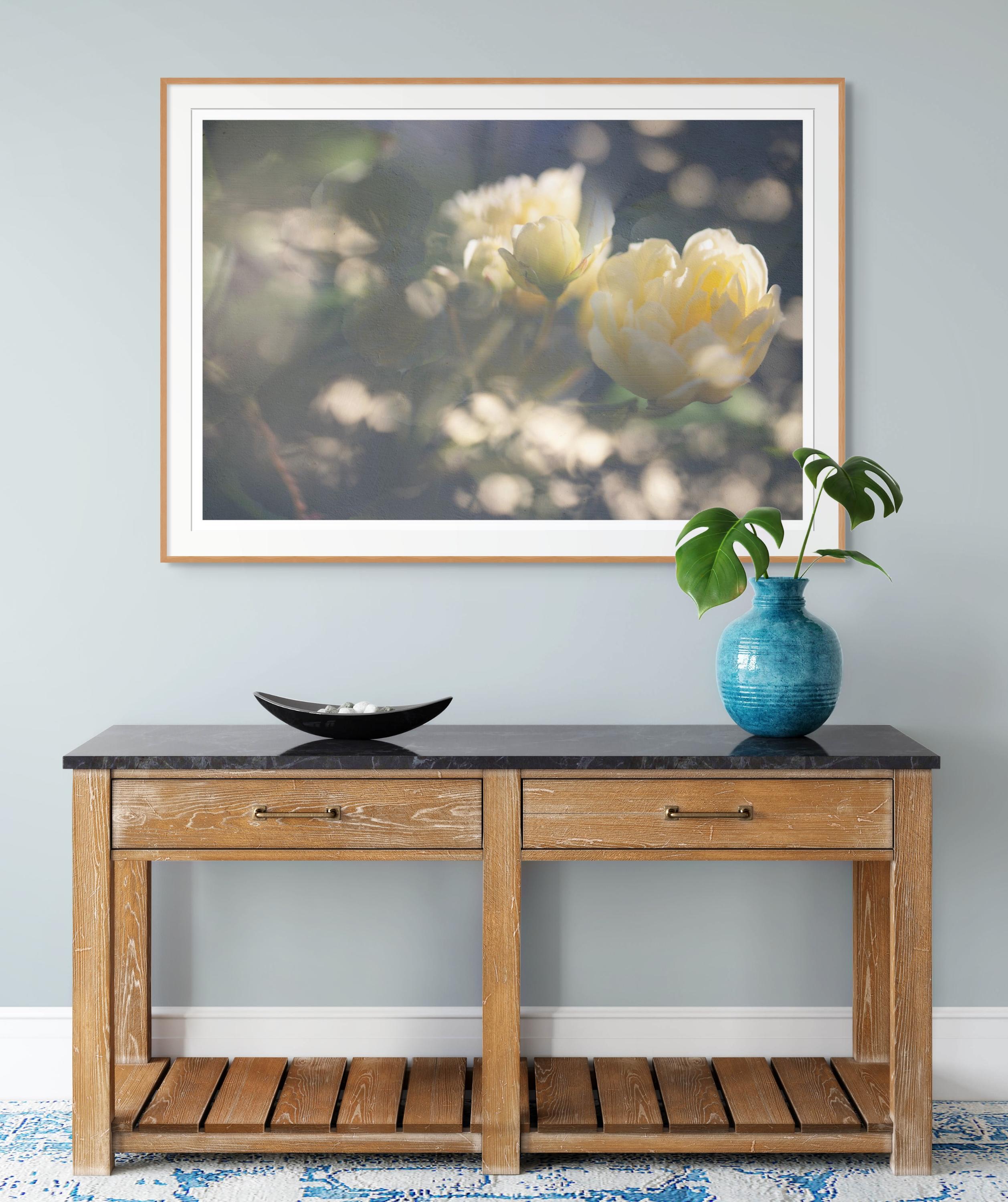 'May Morning in Yellow' Large scale photograph Roses Flowers Contemporary For Sale 2