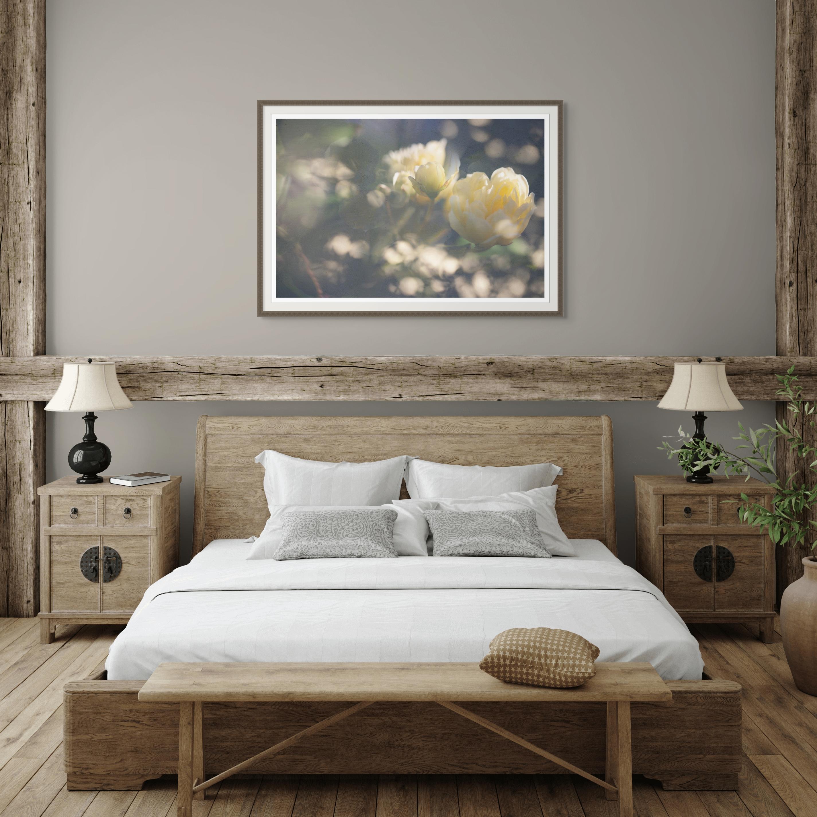 'May Morning in Yellow' Large scale photograph Roses Flowers Contemporary For Sale 5