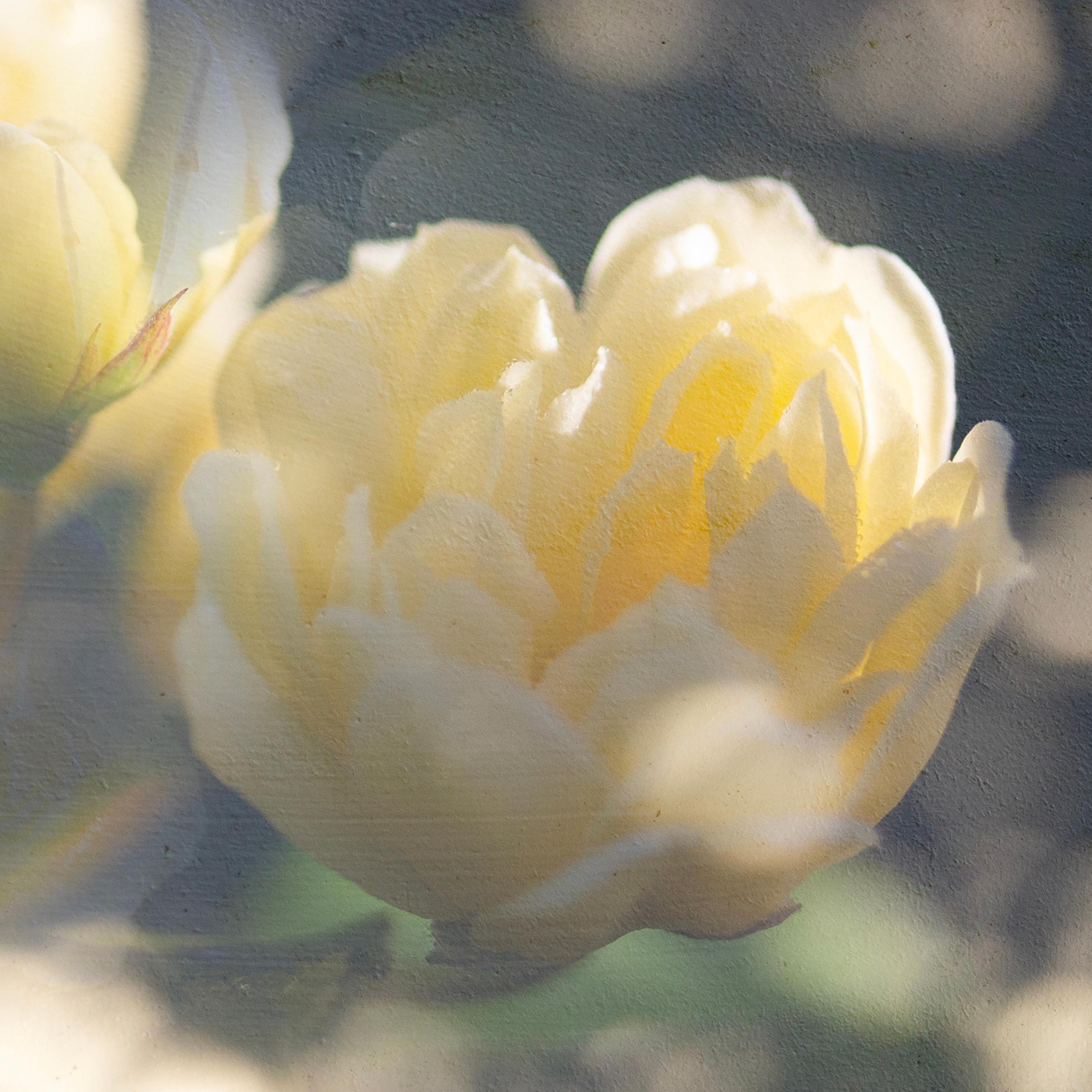 'May Morning in Yellow' 60 x 40