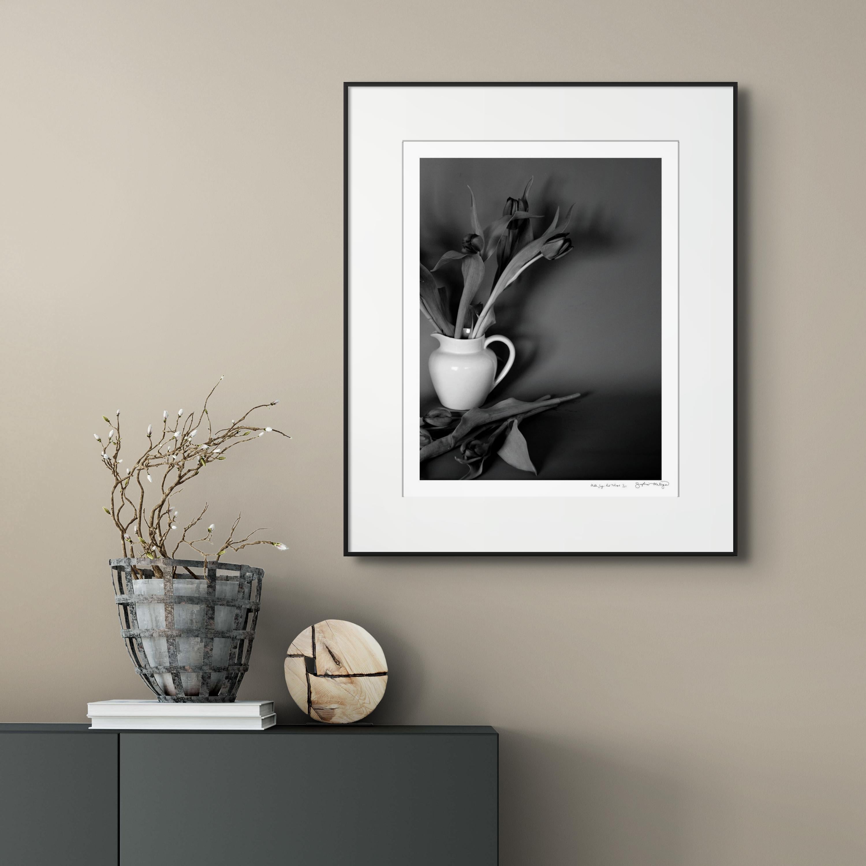 'Milk Jug, Red Tulips' 
Limited edition (1 of 25) archival black and white photograph. Unframed.
_________________
Sophia's poetic photographs are an exploration of the balance in all things: in the sensual interplay of light and shadow; in virile