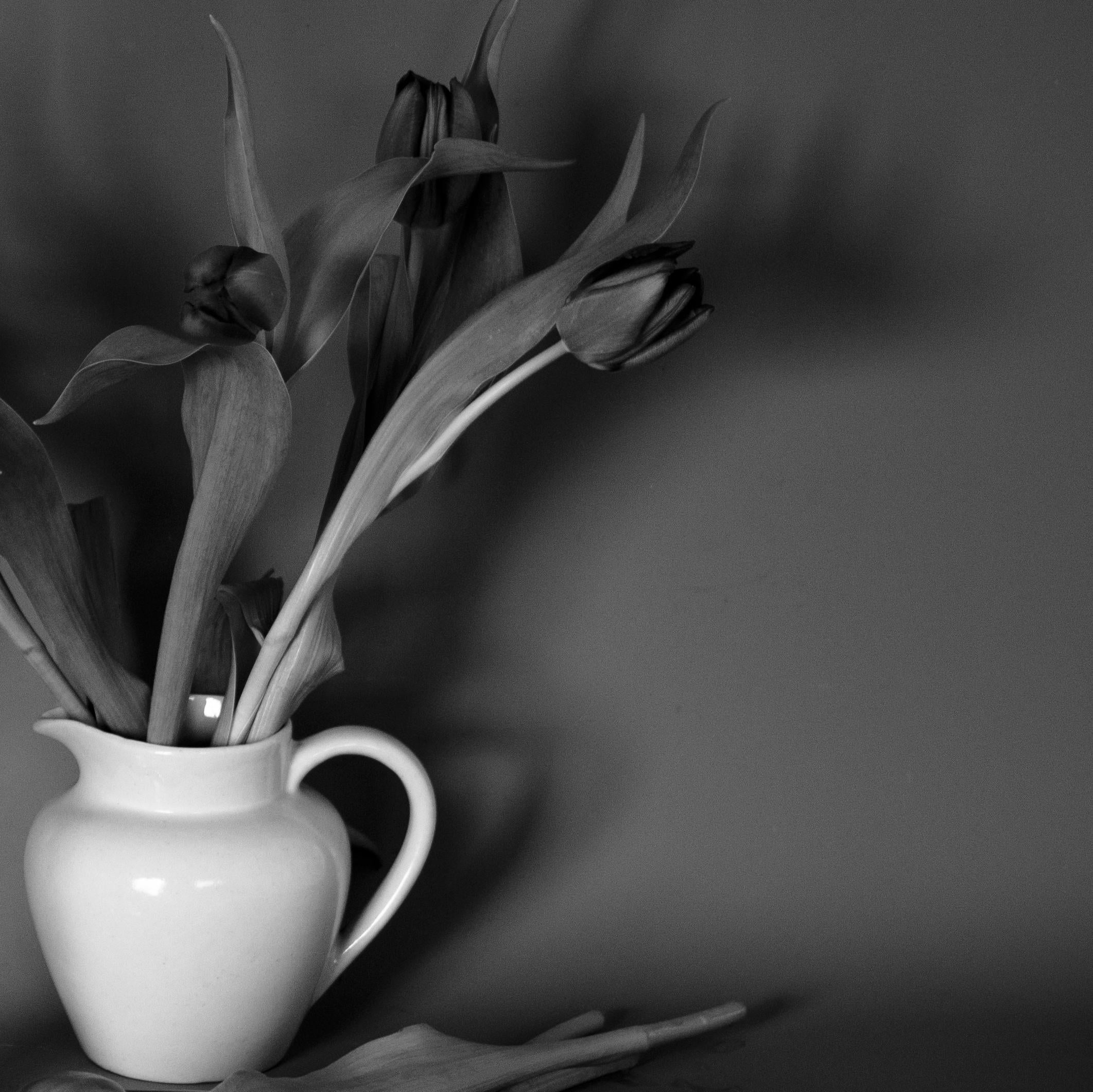 'Milk Jug, Red Tulips' Limited Edition Photograph. Minimal Botanical Still Life  1