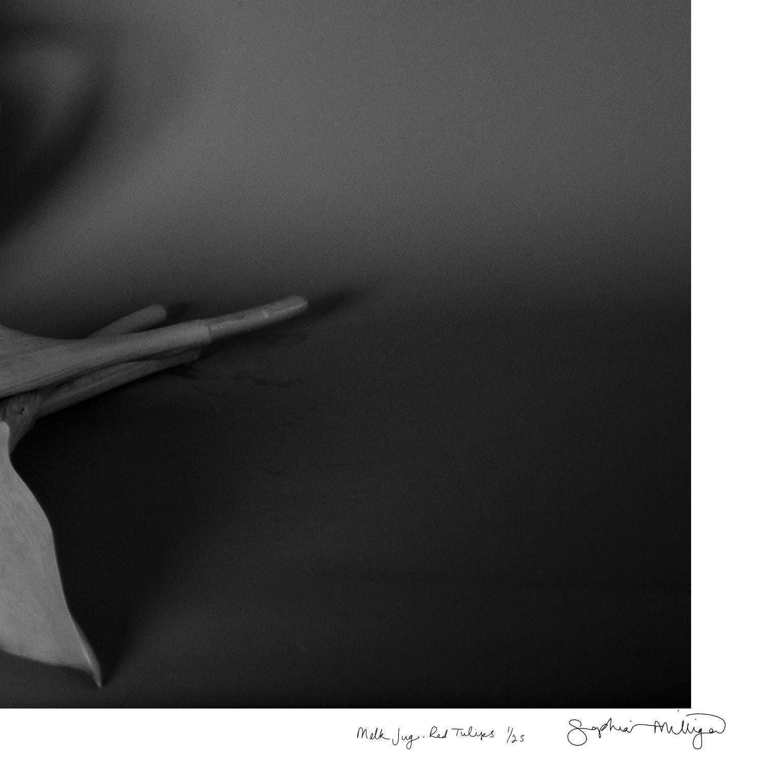 'Milk Jug, Red Tulips' Limited Edition Photograph. Minimal Botanical Still Life  2