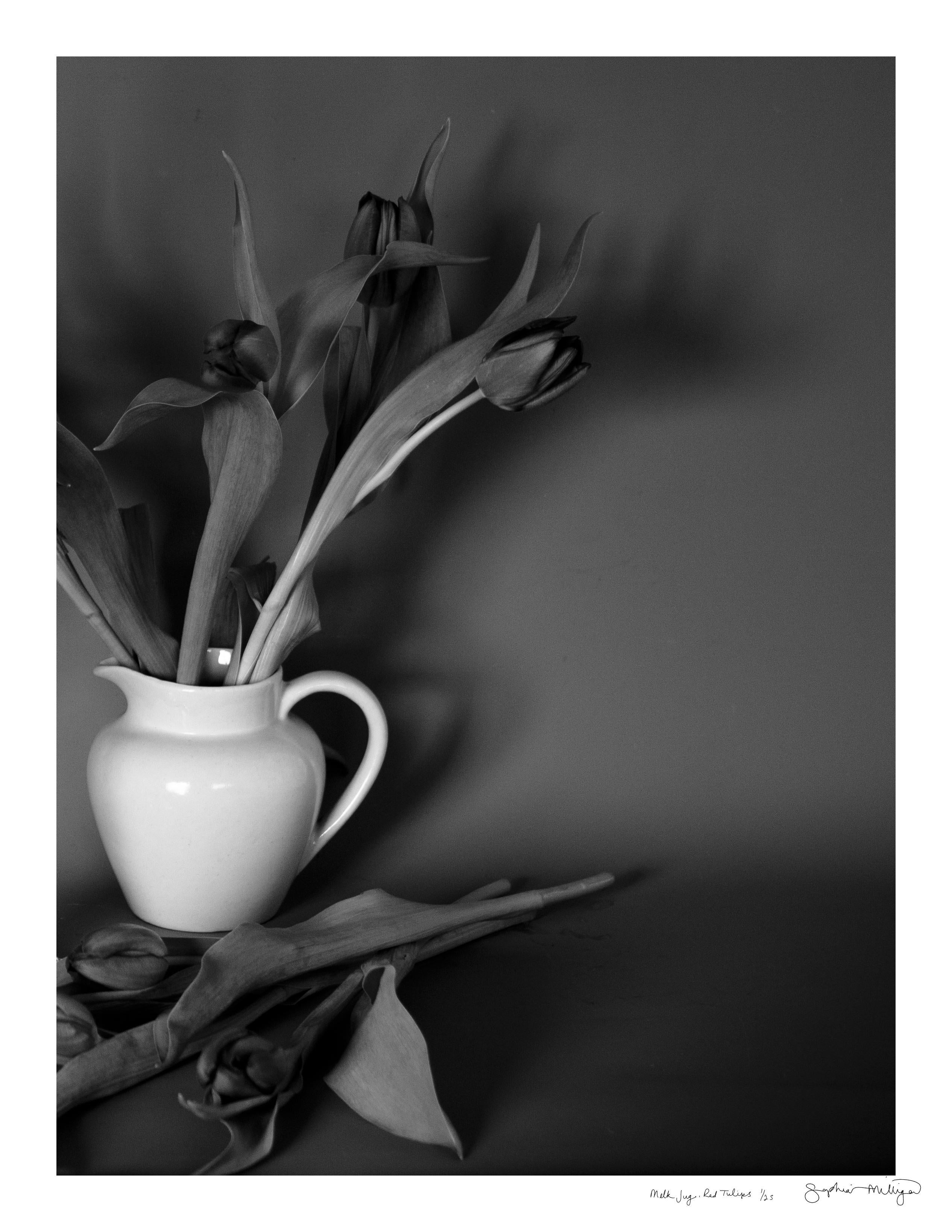 Sophia Milligan Still-Life Photograph - 'Milk Jug, Red Tulips' Limited Edition Photograph. Minimal Botanical Still Life 