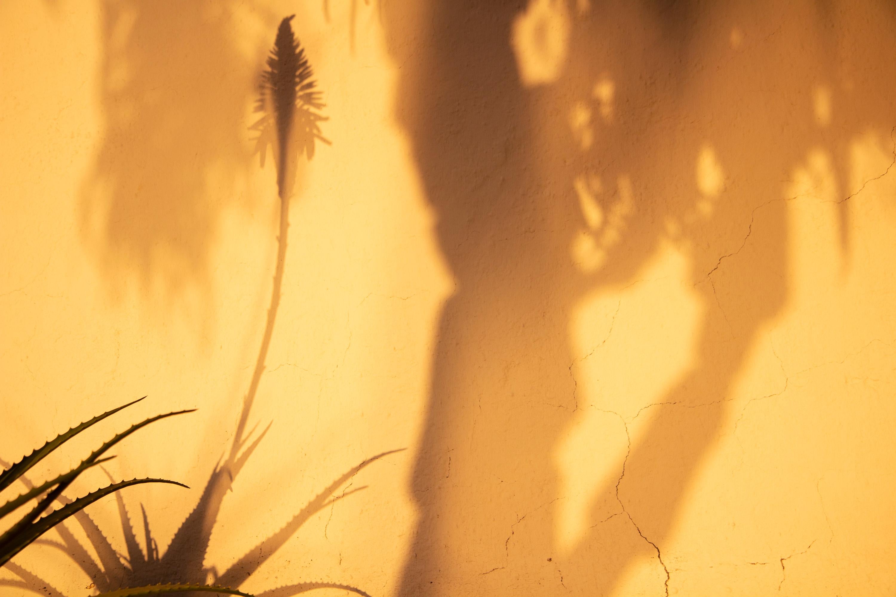 Sombras Doradas (5)' Großformatiges Foto, Wüsten-Silhouette Sonnenuntergang Gelbgold
