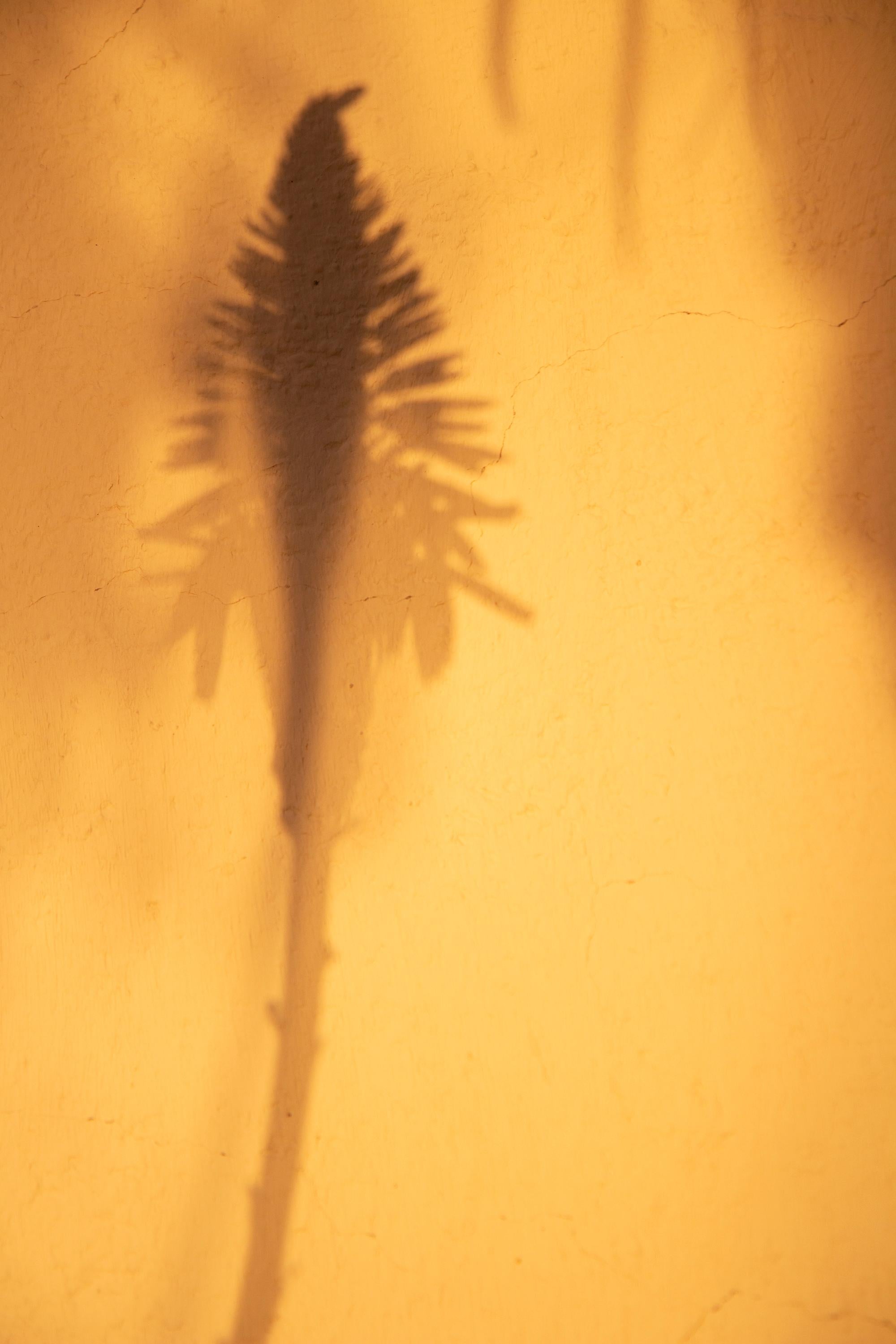 Foto in grande scala 'Sombras Doradas (4)', silhouette del deserto al tramonto in oro giallo