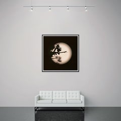 'Pink Moon, Black Thorn (I)'  Unique Photo Botanical Floral Minimalist Black