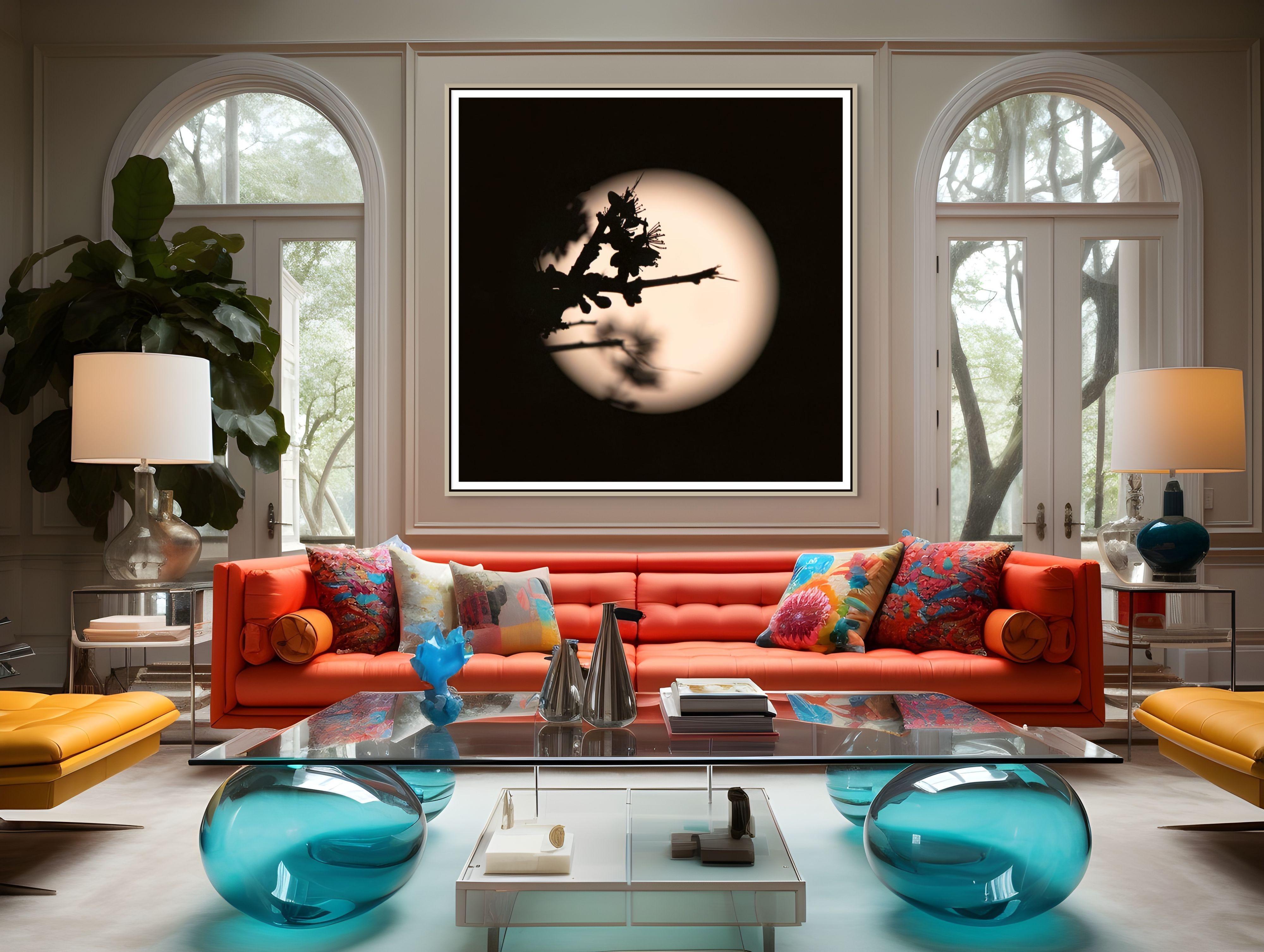 Lune rose, épine noire (I)  Photo unique Botanique Floral Minimaliste Noir en vente 3