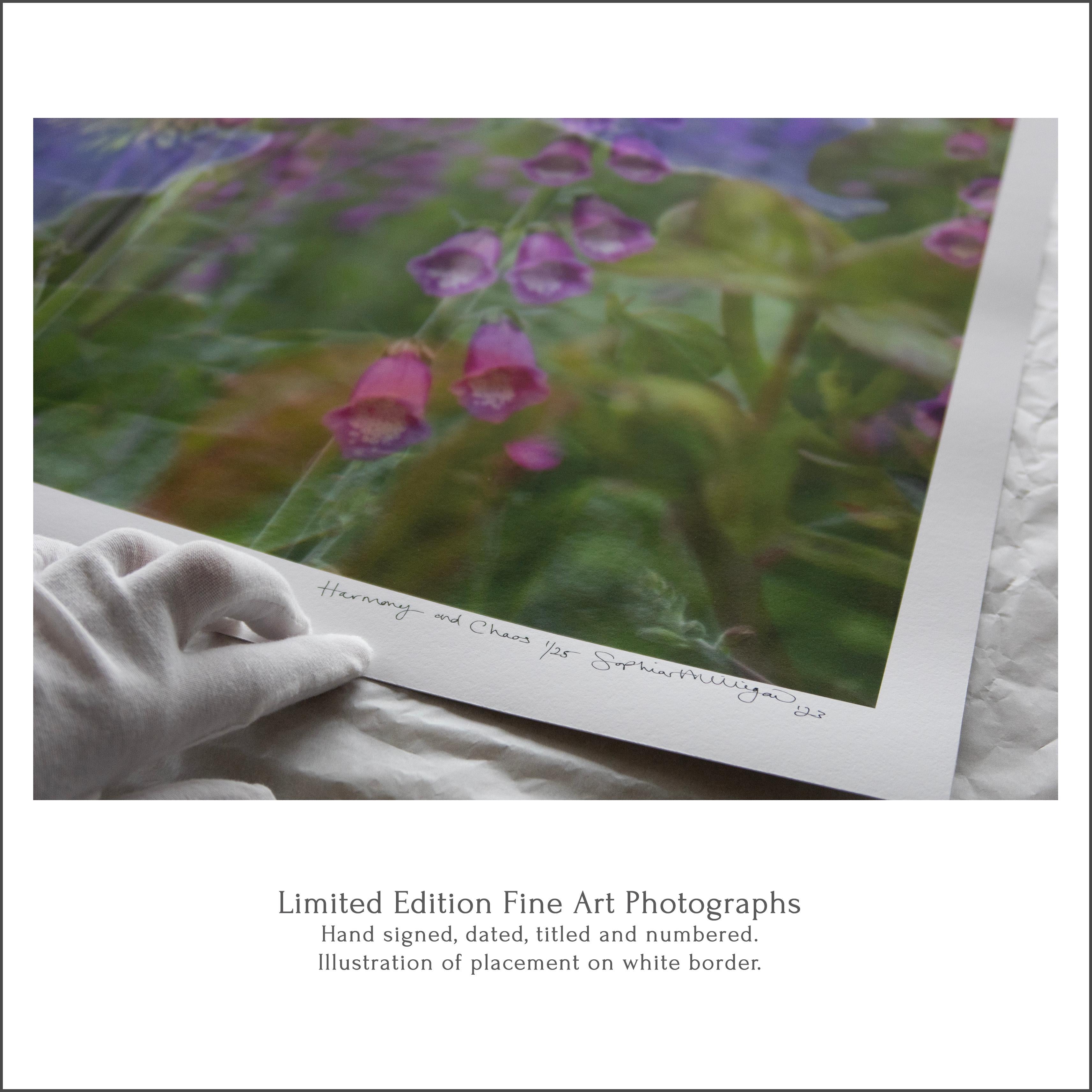 „Salted Rainbows, Off Shore, Atlantic“ Einzigartiges Triptychon. Windwasser im Ozean im Angebot 2