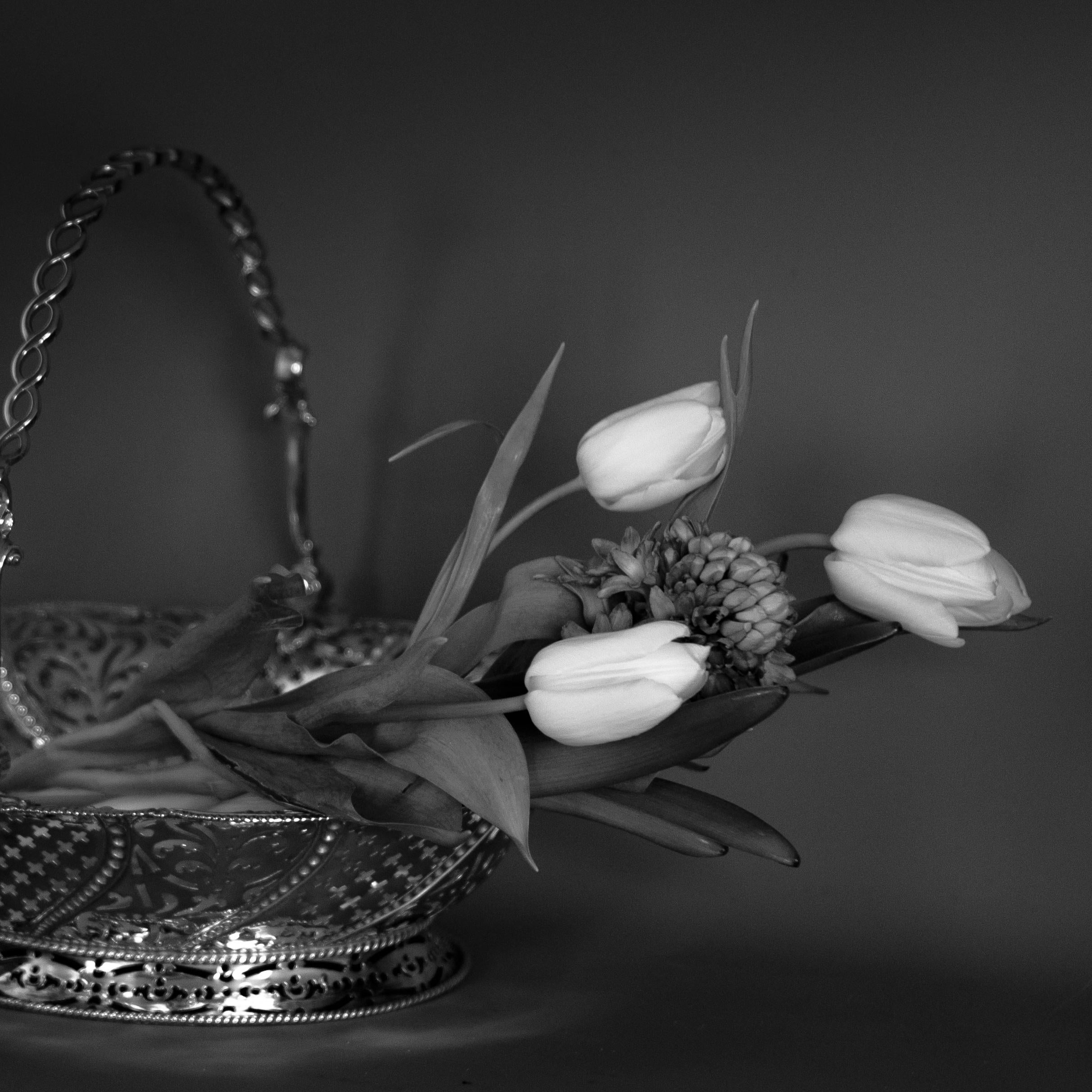 'Silver basket, White Tulips' Limited Edition Photograph. Minimal Still Life  For Sale 1